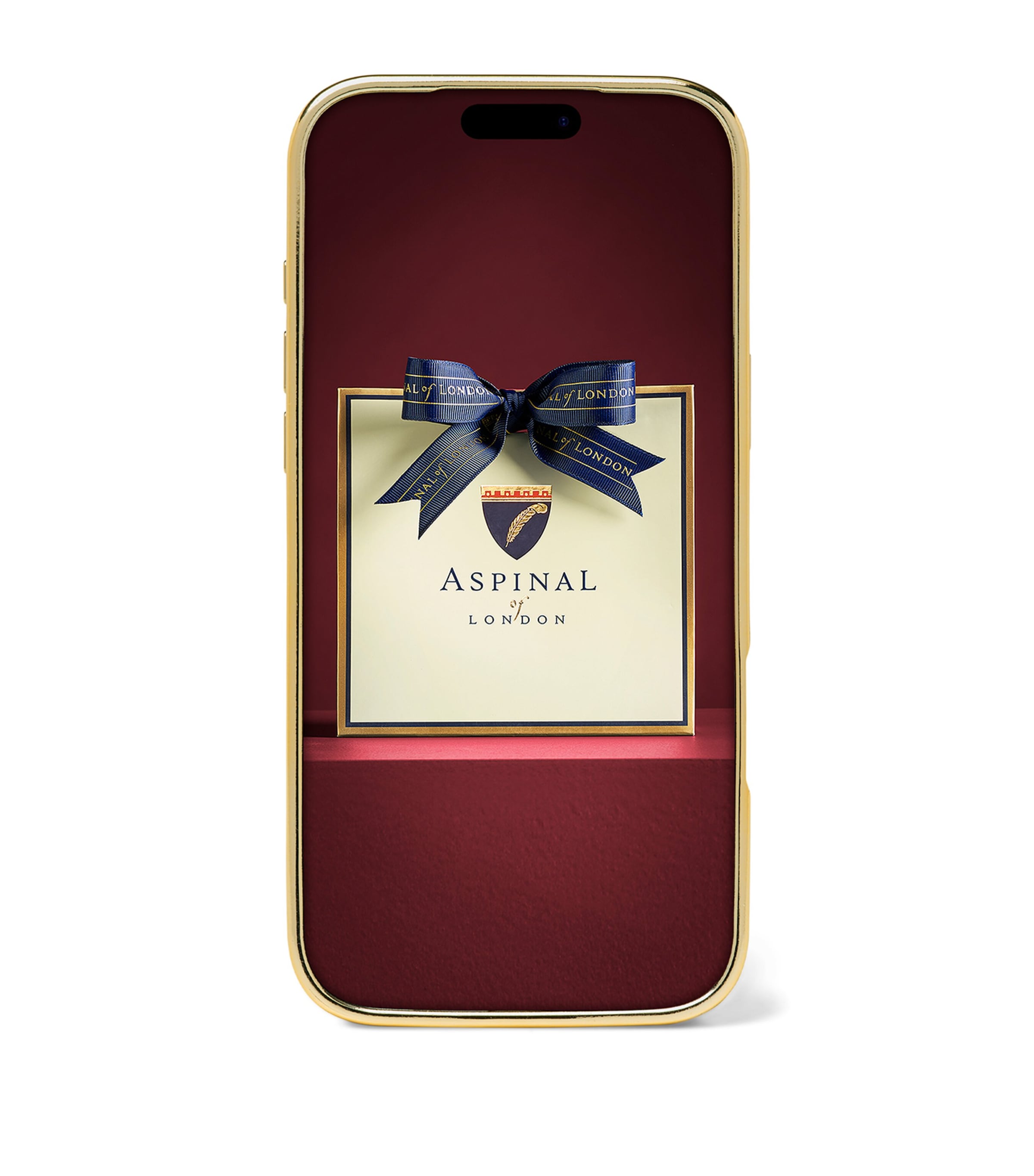 Aspinal Of London Leather iPhone 17 Pro Case Caramel Image 2