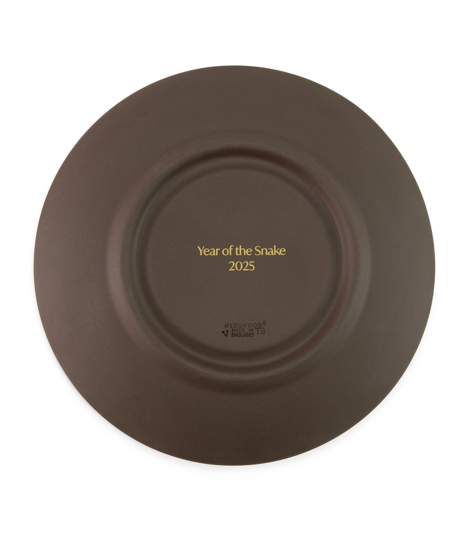 Snake Decorative Plate (12.5cm) BROWN Image 5