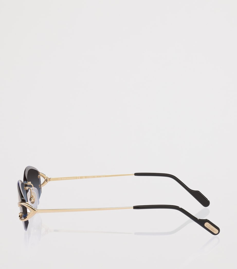 Cartier CT0467S Irregular Sunglasses Image 3