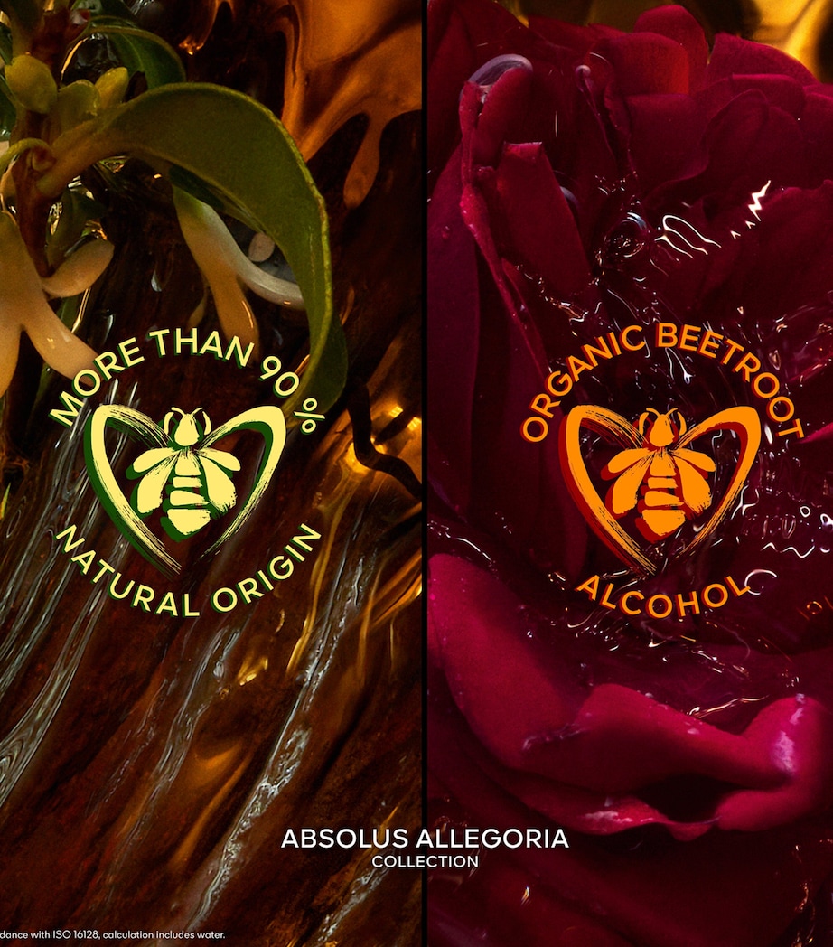 Absolus Allegoria Rose Amira Hair Mist (40ml) NO COLOUR Image 4