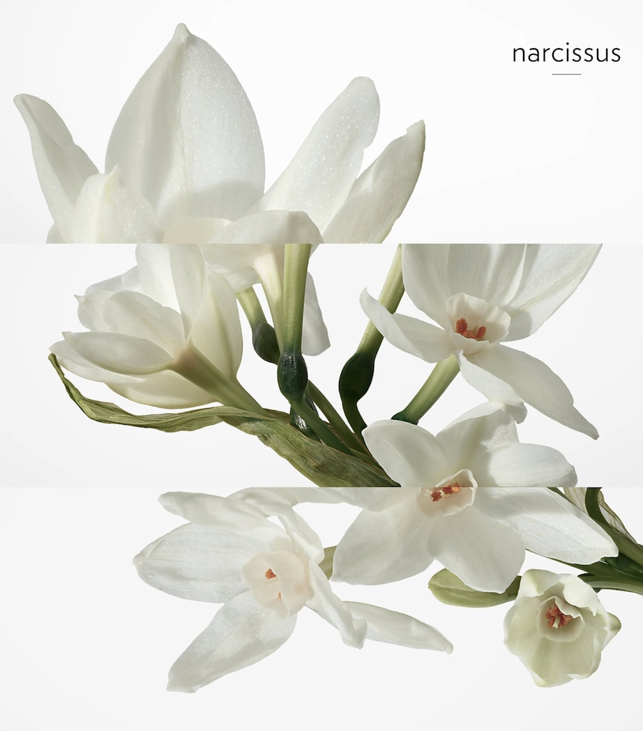 H24 Eau de Toilette (100ml) NO COLOUR Image 6