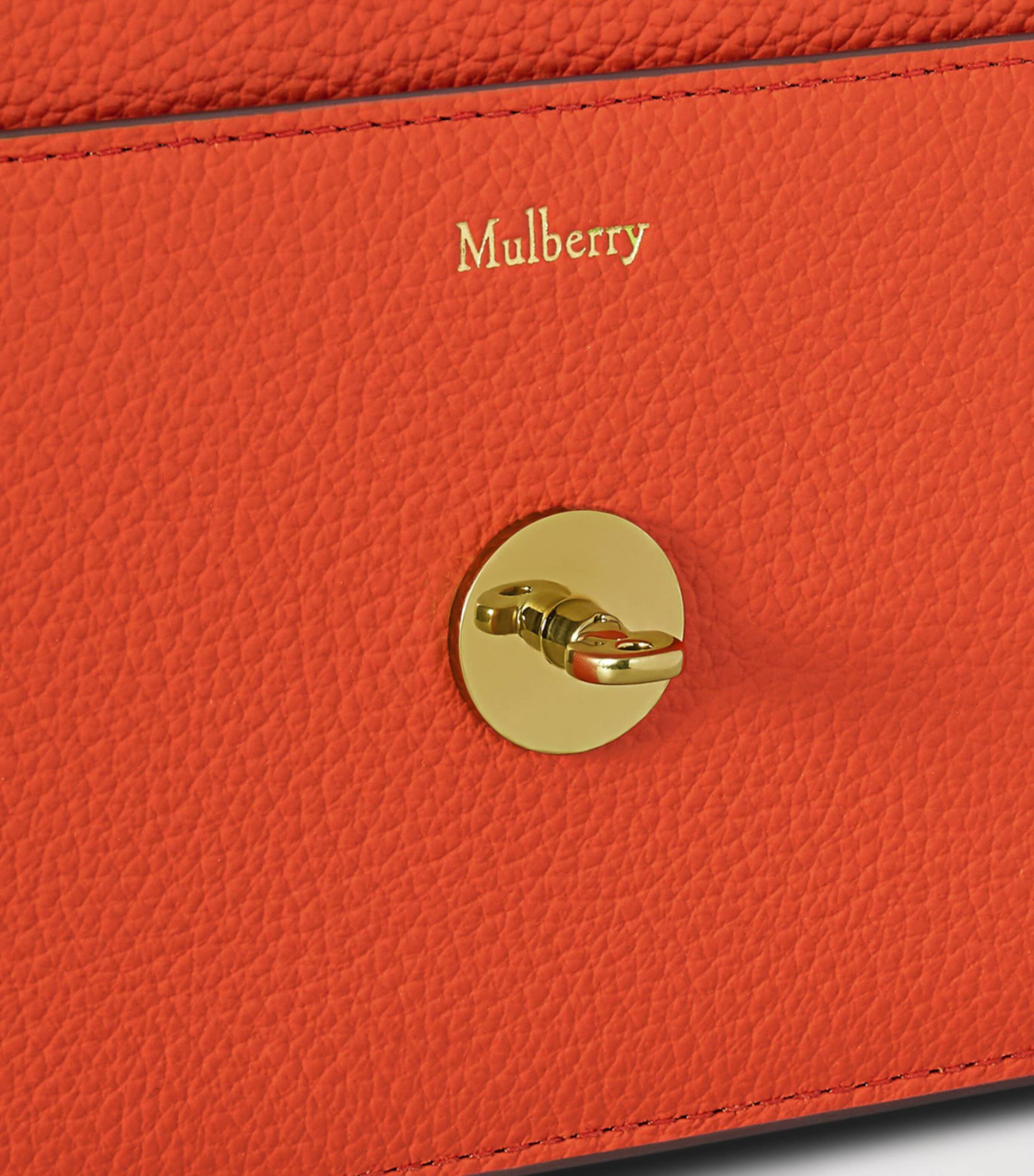 Mulberry Small Leather Darley Cross-Body Bag Coral Orange Image 5