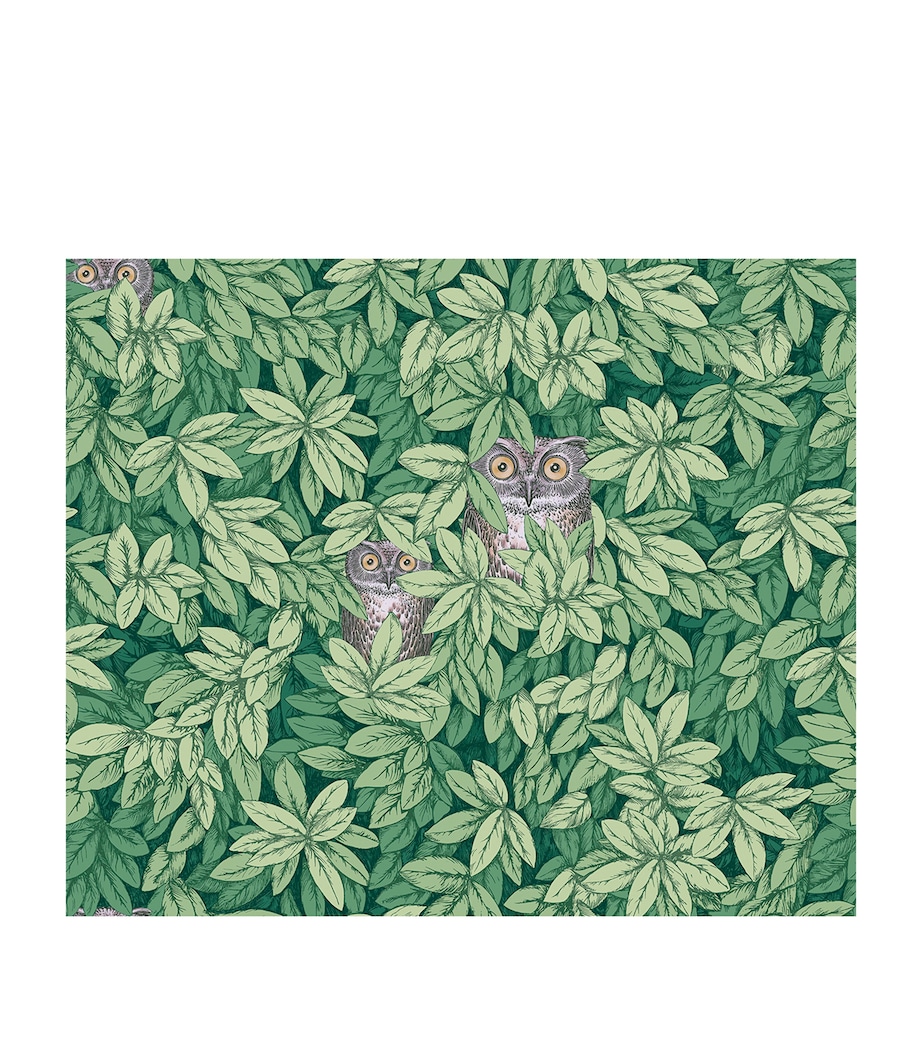 x Fornasetti Foglie e Civette Wallpaper Roll FOREST GREEN Image 1
