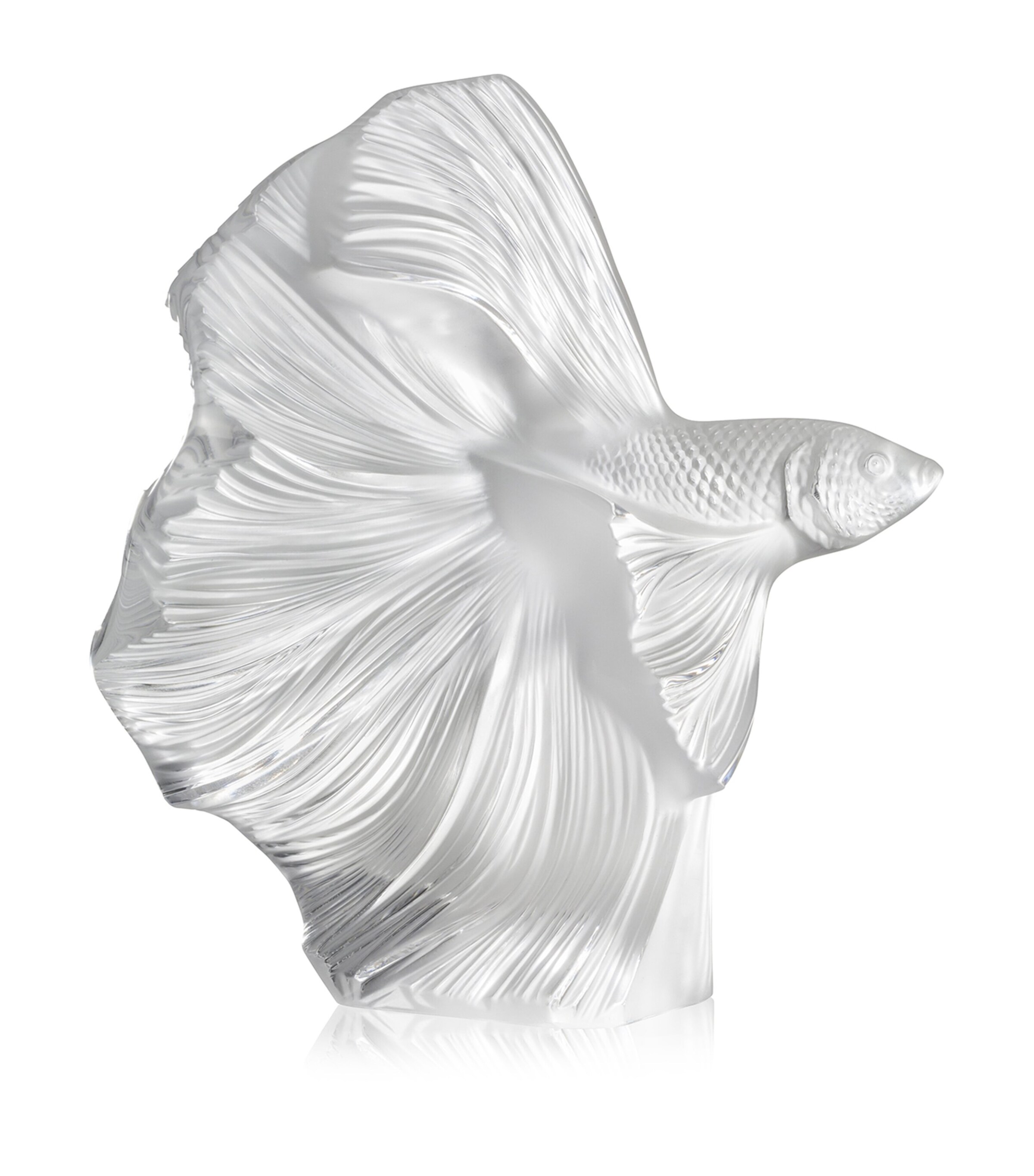 Lalique Large Fighting Fish Sculpture Incolore Image 1