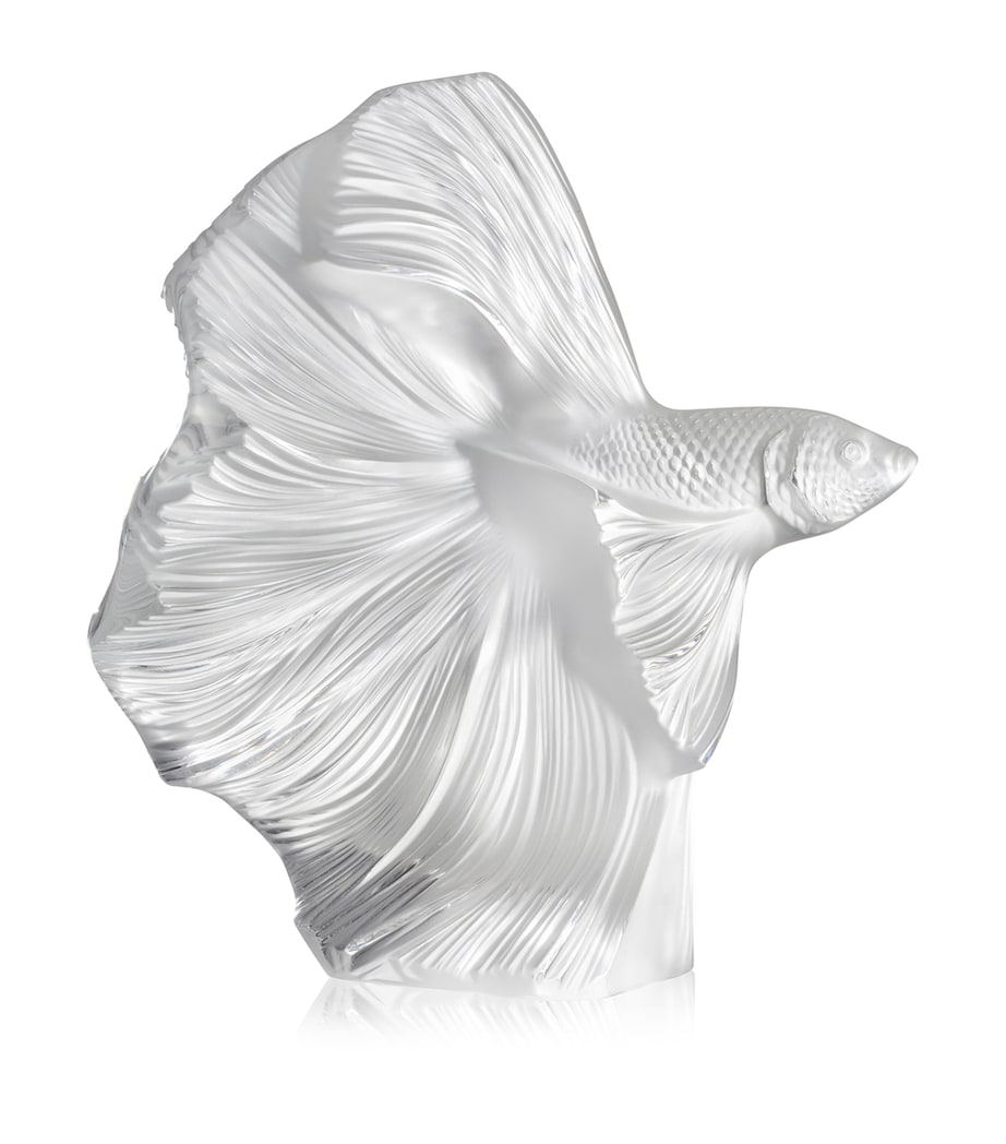 Large Fighting Fish Sculpture INCOLORE Image 1