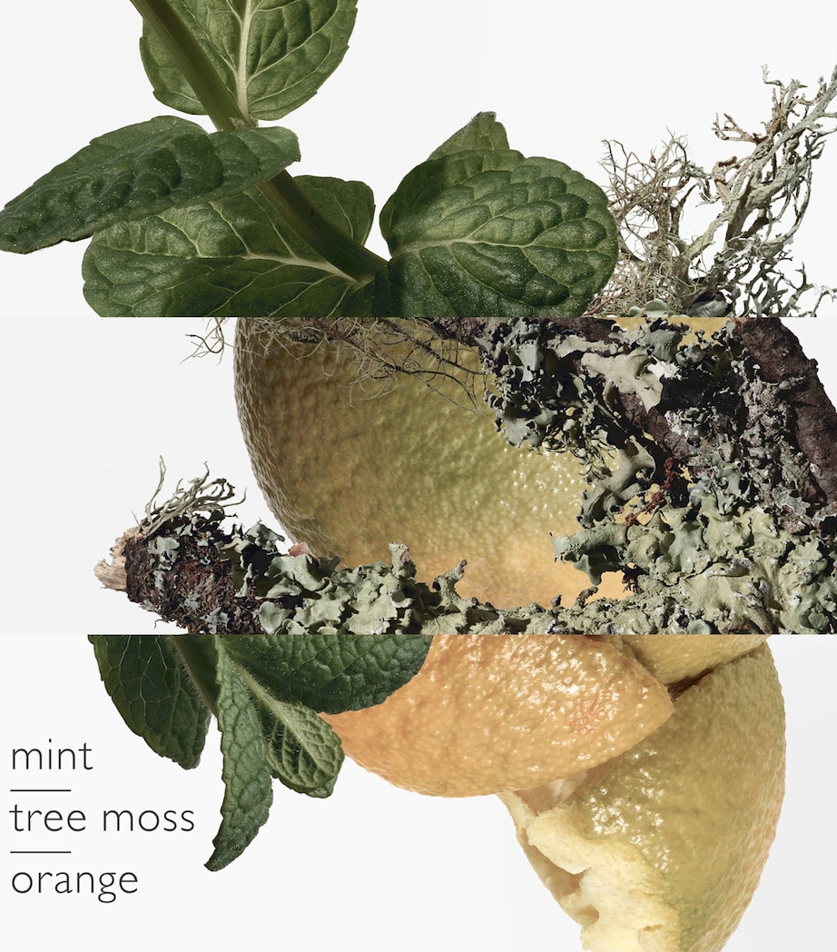 Eau D'orange Verte Eau de Cologne (100ml) NO COLOUR Image 3