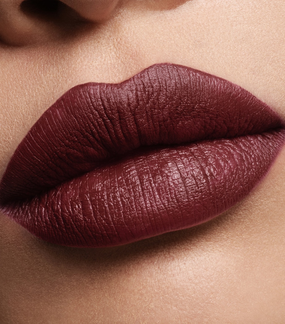 F****** Fabulous Lip Colour VIXEN Image 3