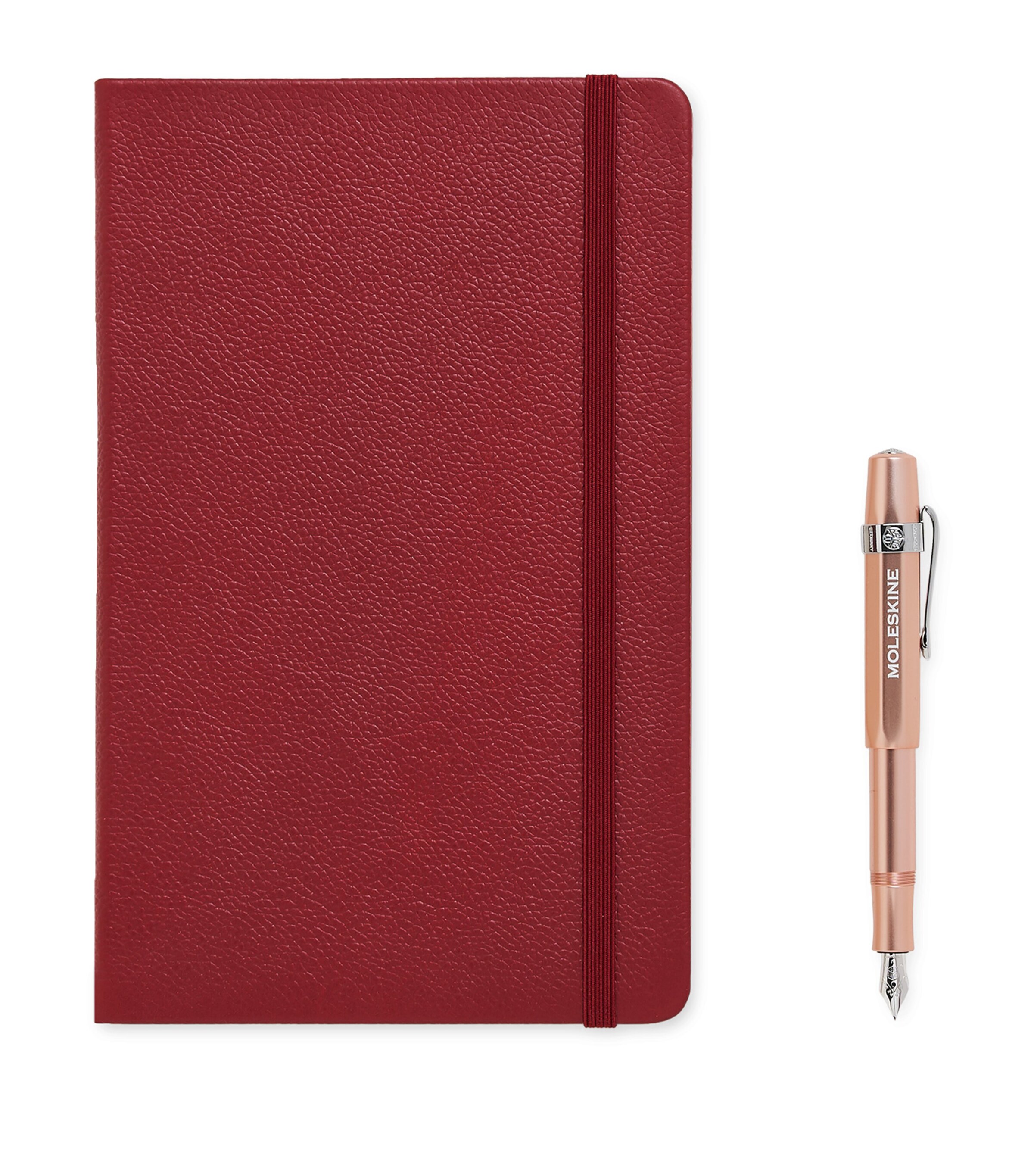 Moleskine Le Duo Ecriture Fountain Pen And Notebook Set In Rose Gold