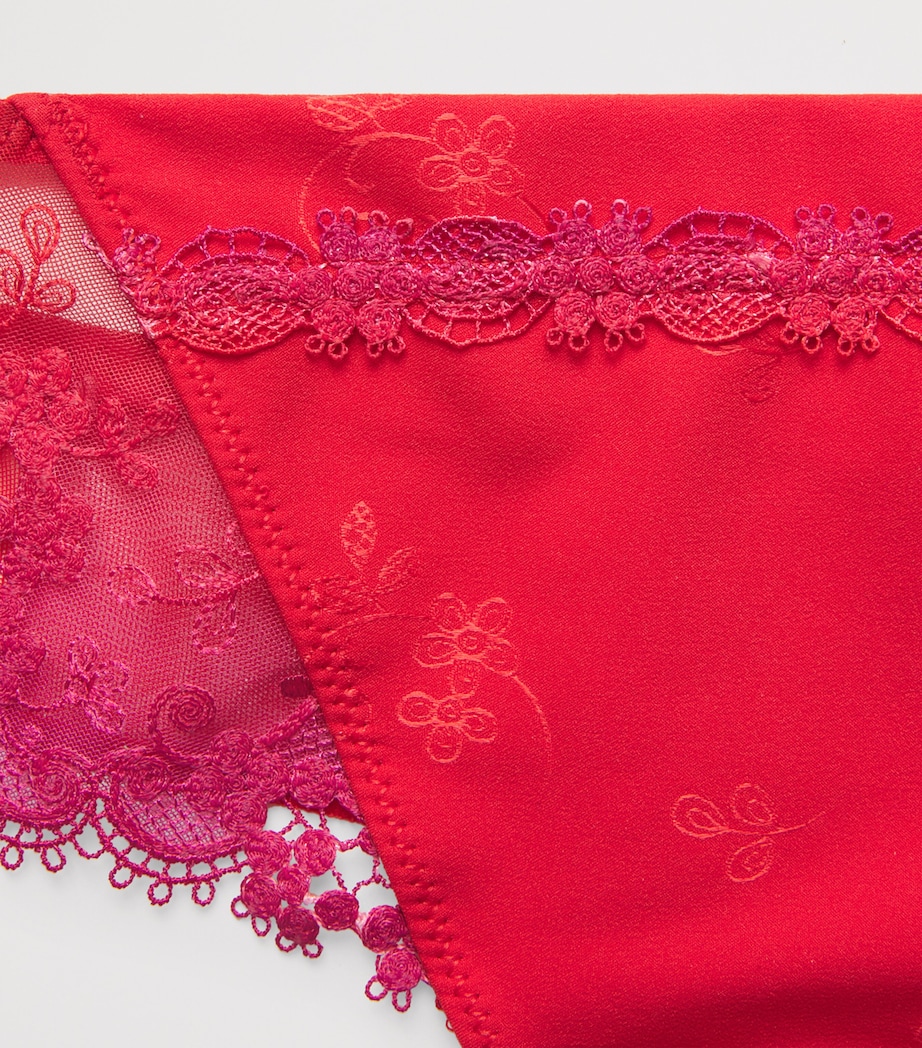 Lace Wish Tanga 160 RAINBOW RED Image 4