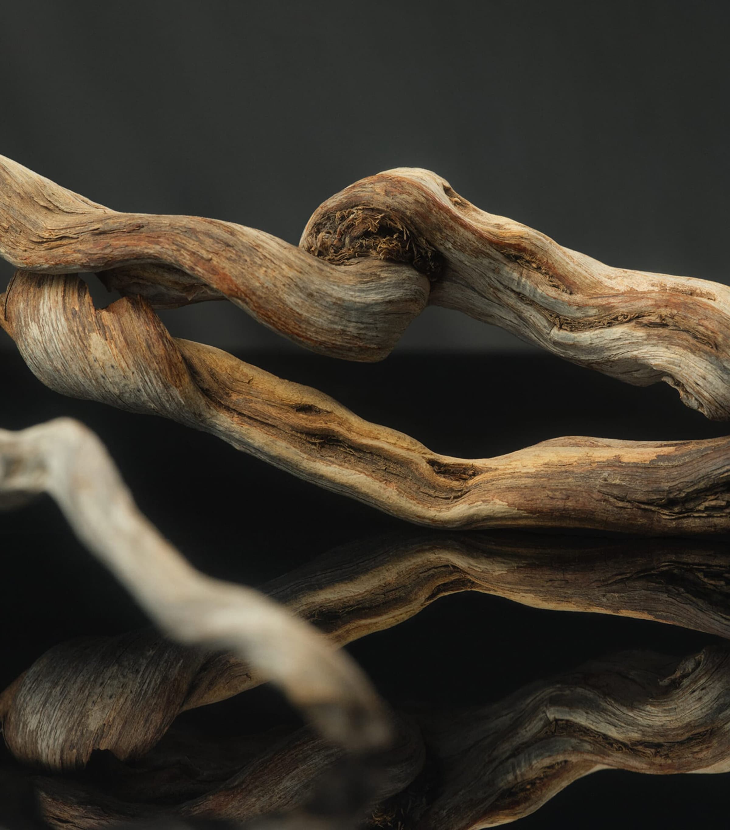 Fefé Dog Fragrance Mist (100ml) NO COLOUR Image 4