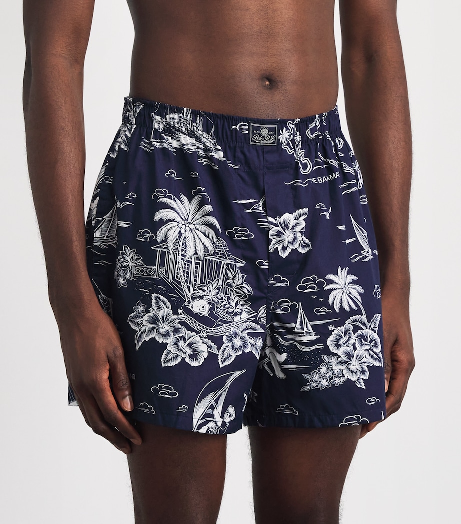 Polo Ralph Lauren Mens Classic Cotton Boxer Shorts (Pack Of 3) Navy/stripe/brwaiian Image 2