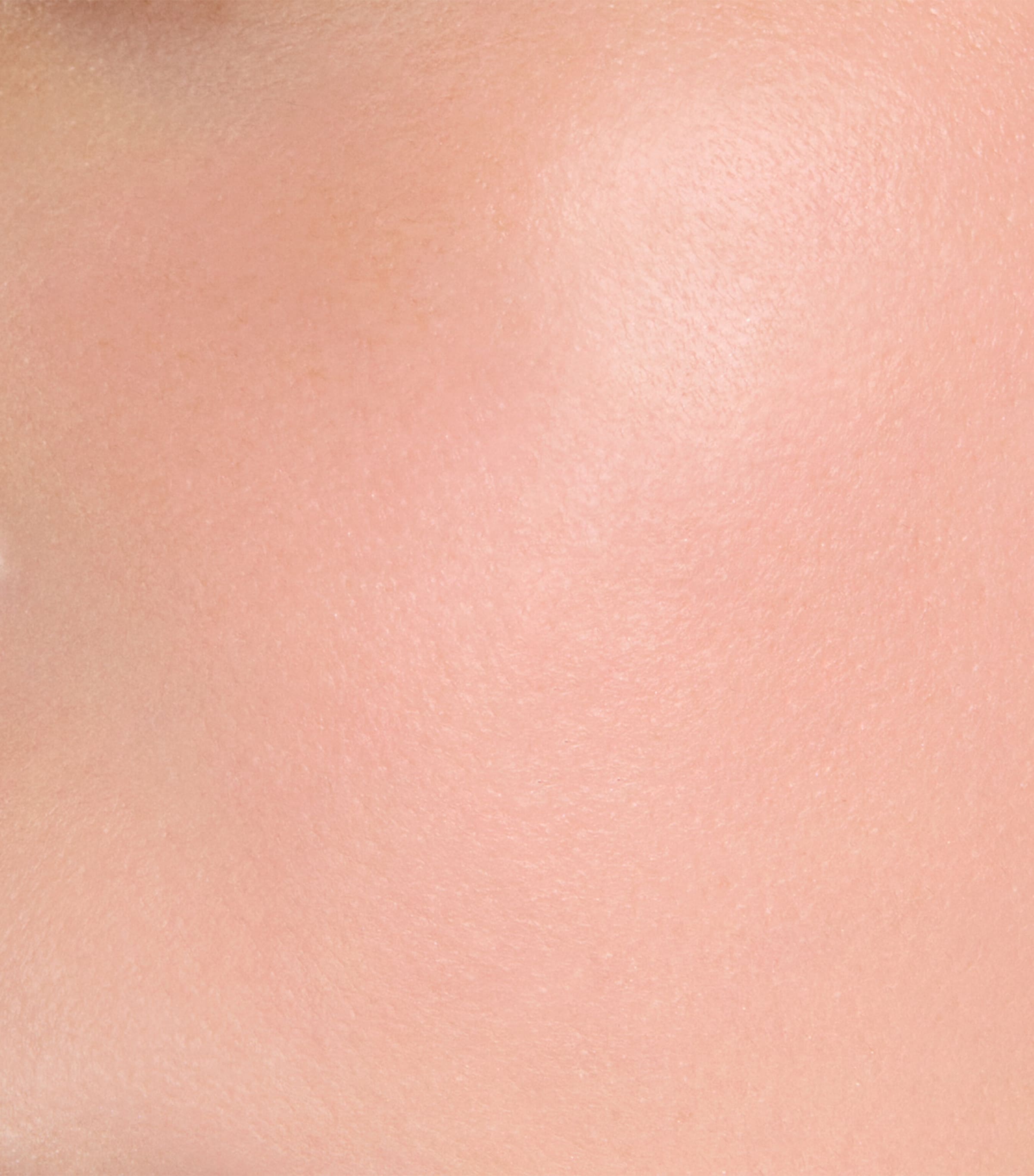 Complexion Face Colour Blush 101 Image 5