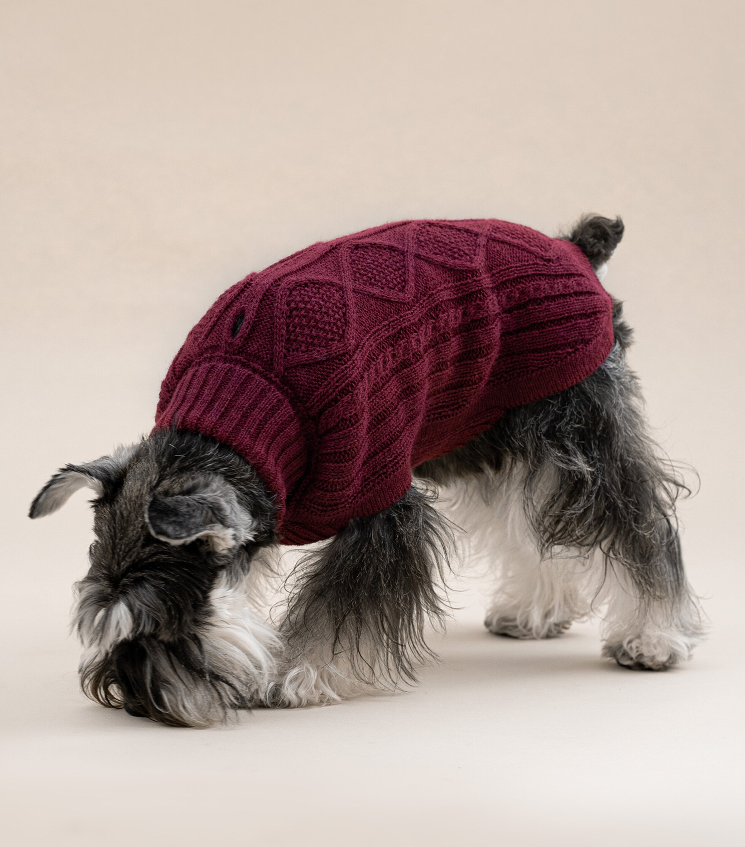 ALQO WASI Alpaca-Blend Aran Knit Dog Sweater (Large) Red Wine Image 6