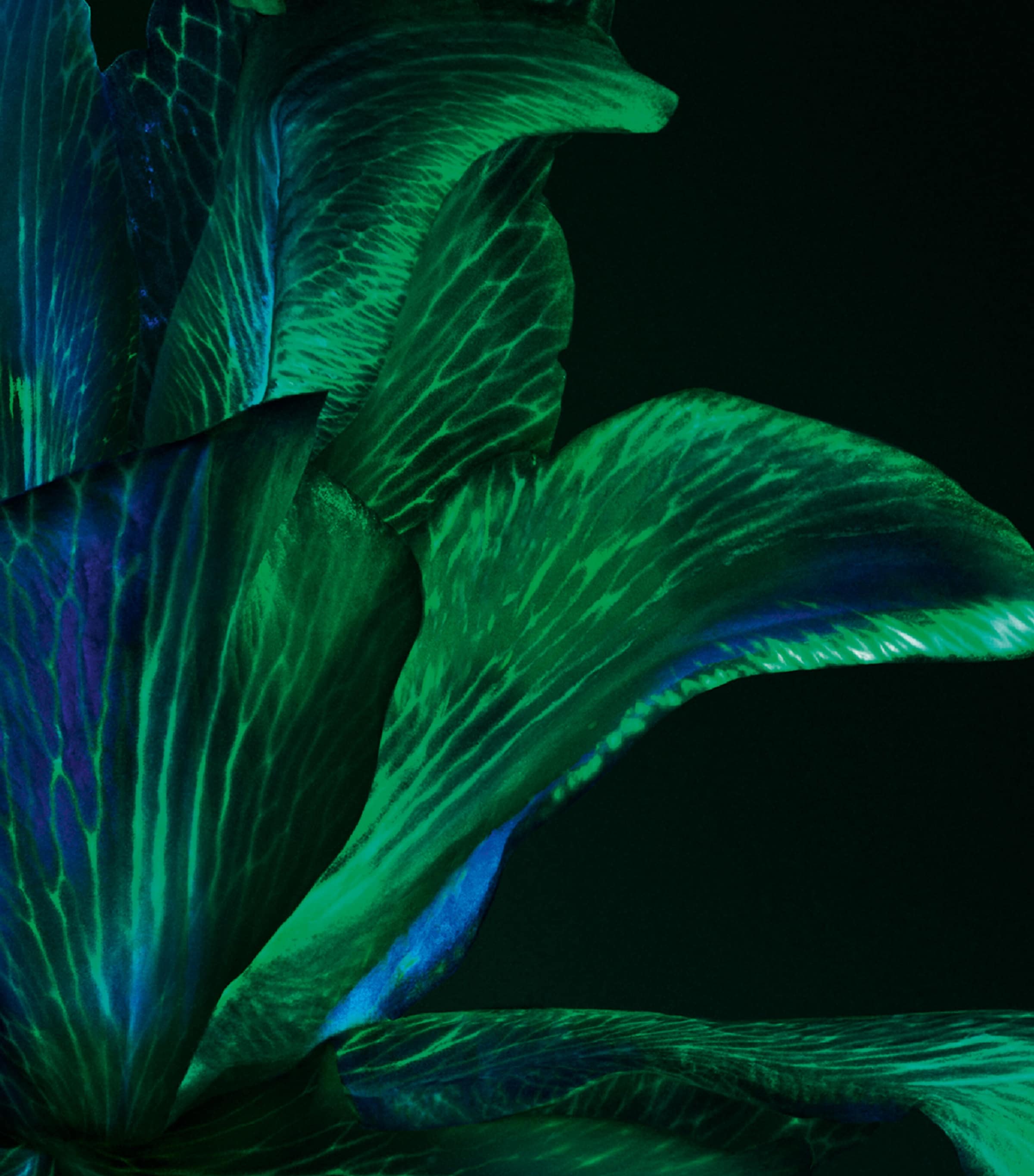 Powercell Skin Rehab (50ml) NO COLOUR Image 3