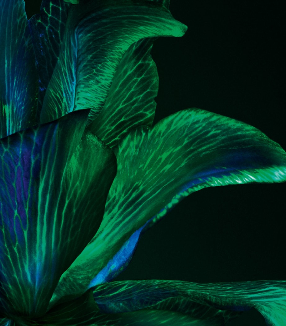 Powercell Skin Rehab (50ml) NO COLOUR Image 3