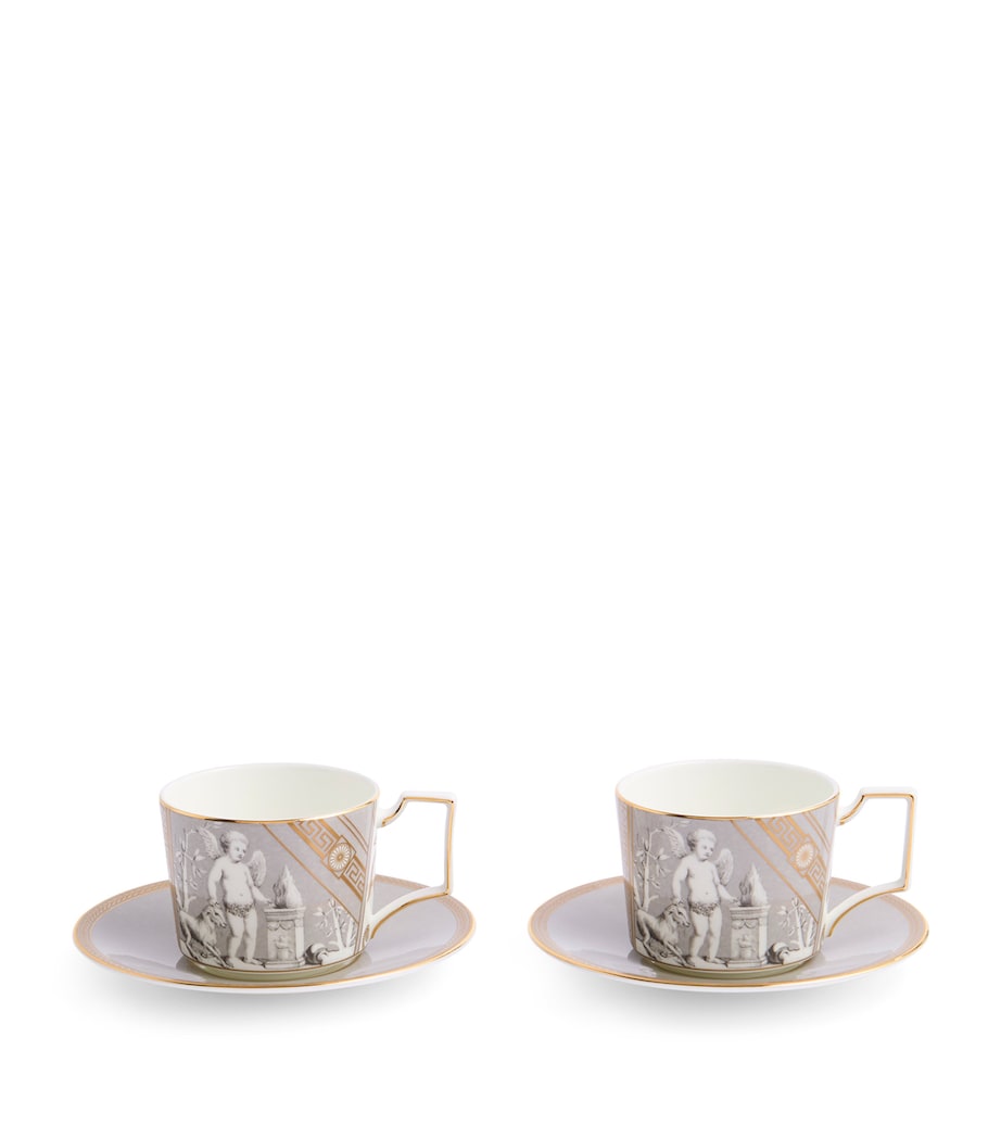 Set of 2 Renaissance Teacups and Saucers GREY Image 1