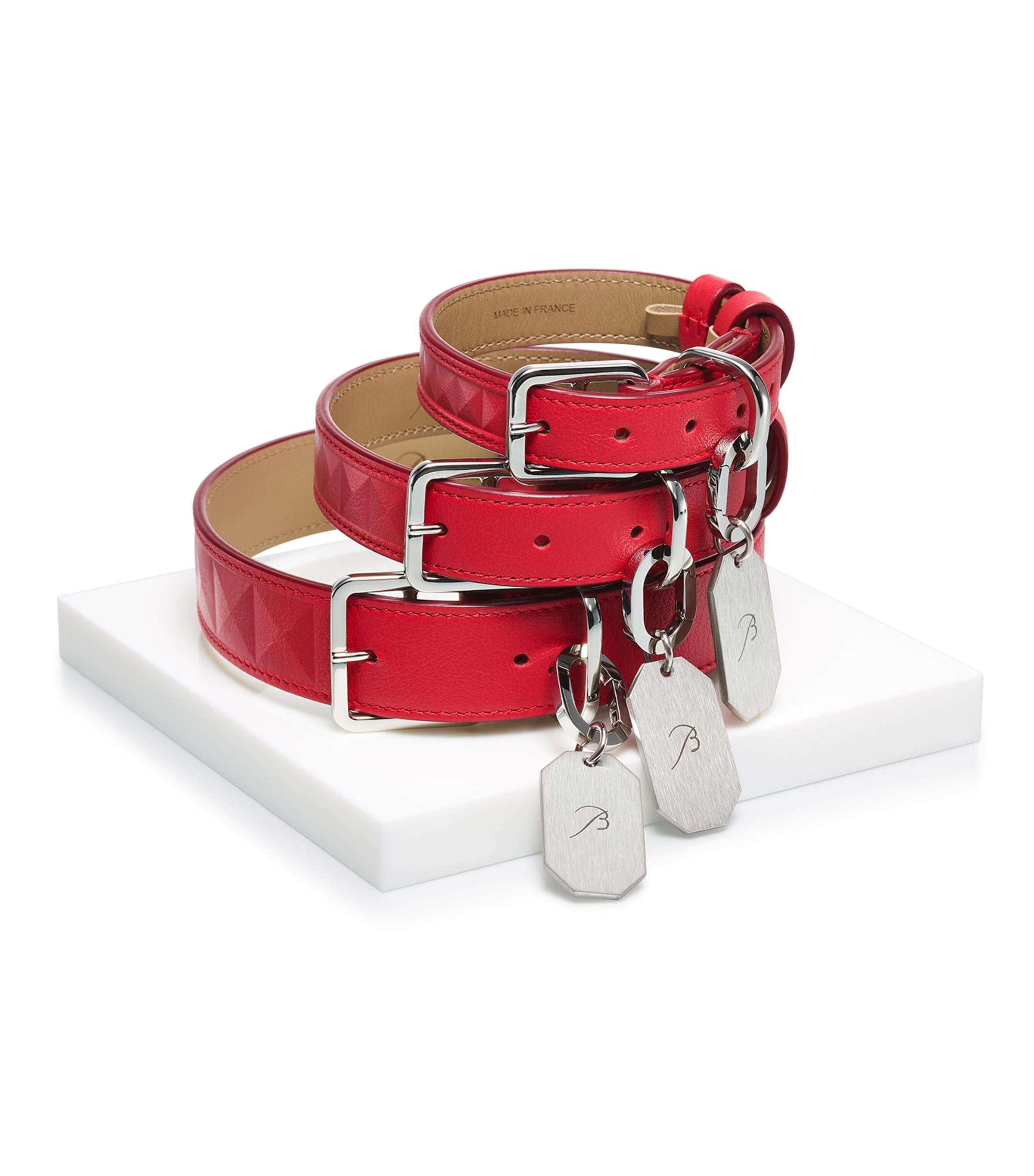 Leather Louxor Pet Collar (Medium) CLEAR Image 3