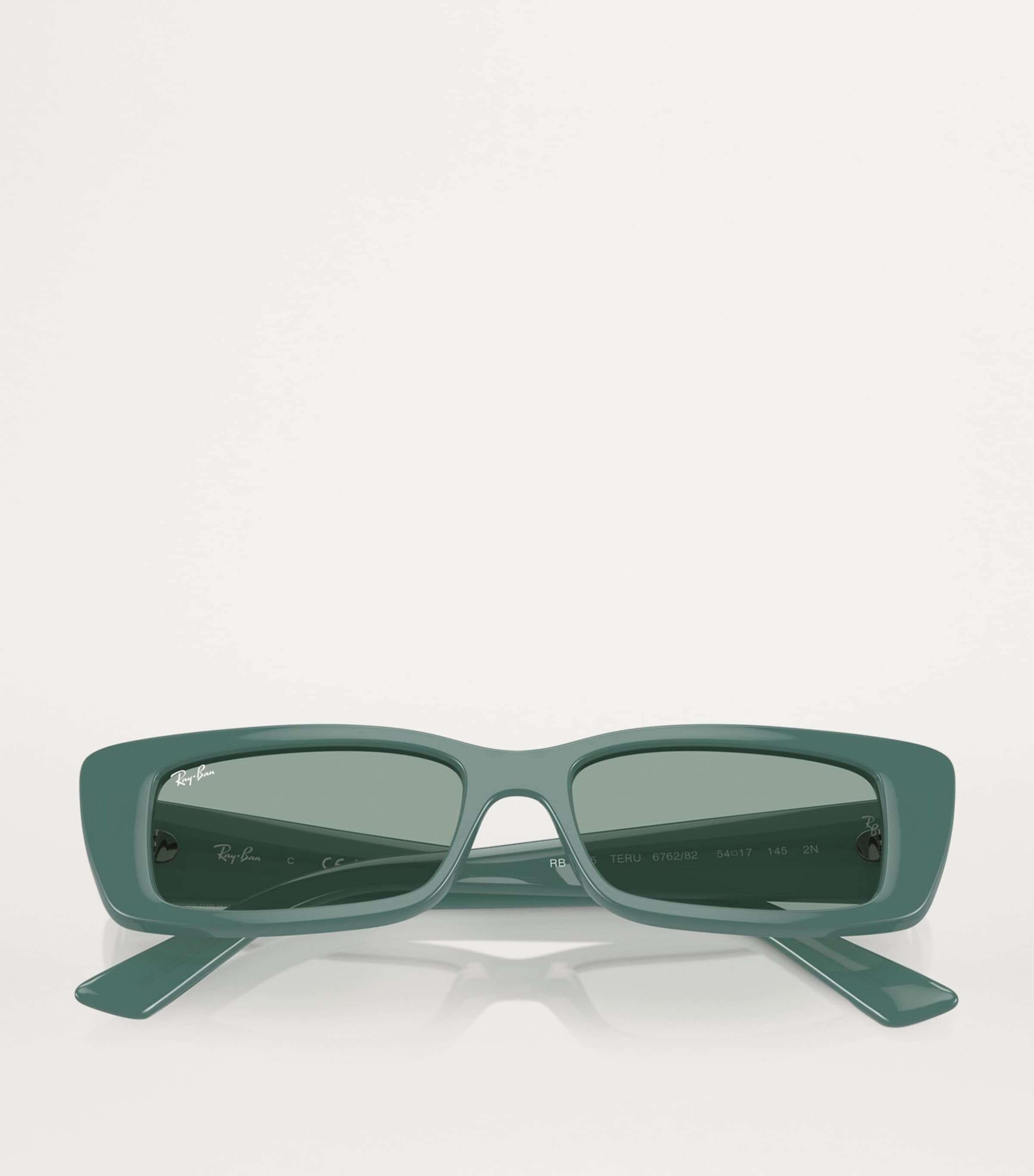Bio-Based RB4425 Teru Sunglasses 676282 Image 4