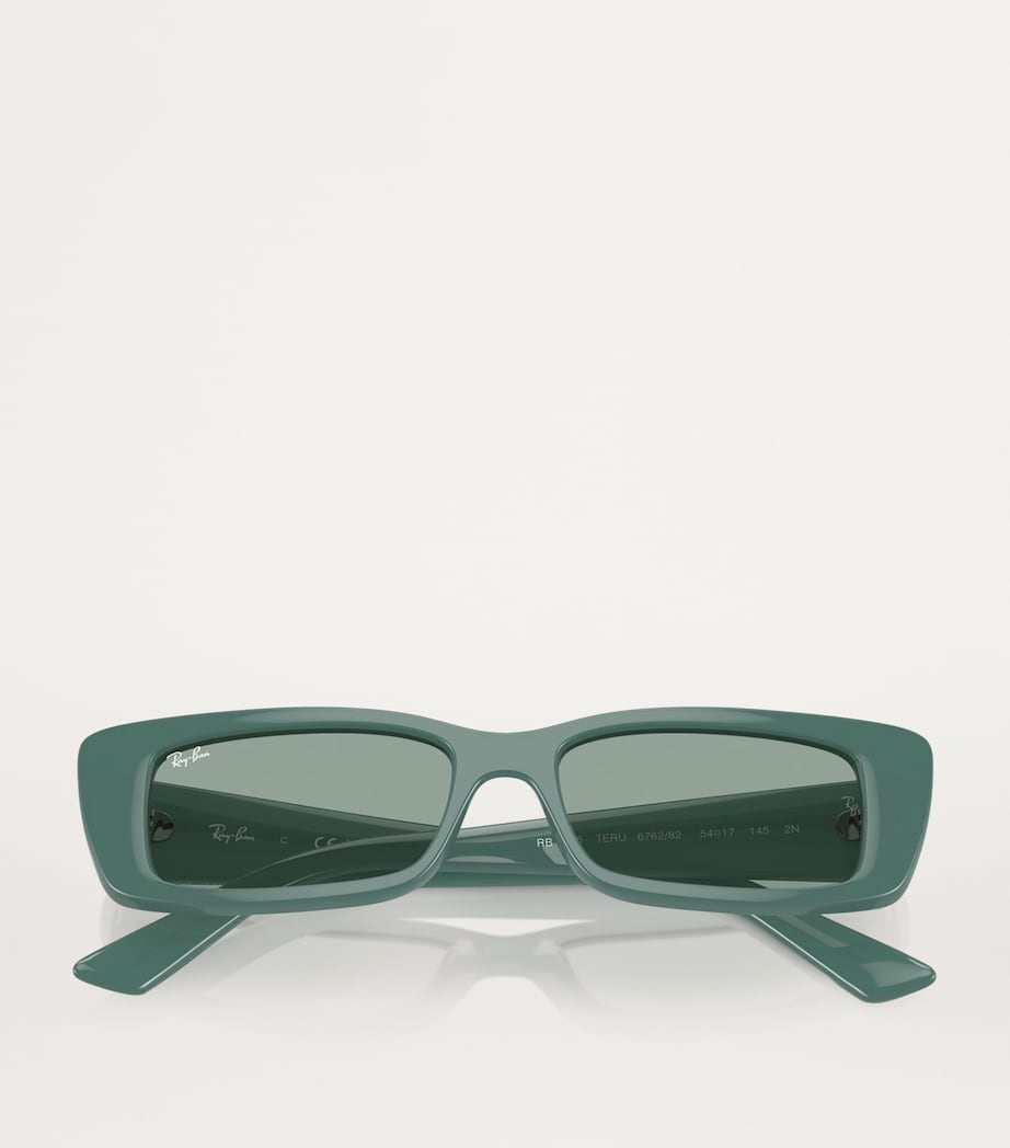 Bio-Based RB4425 Teru Sunglasses 676282 Image 4