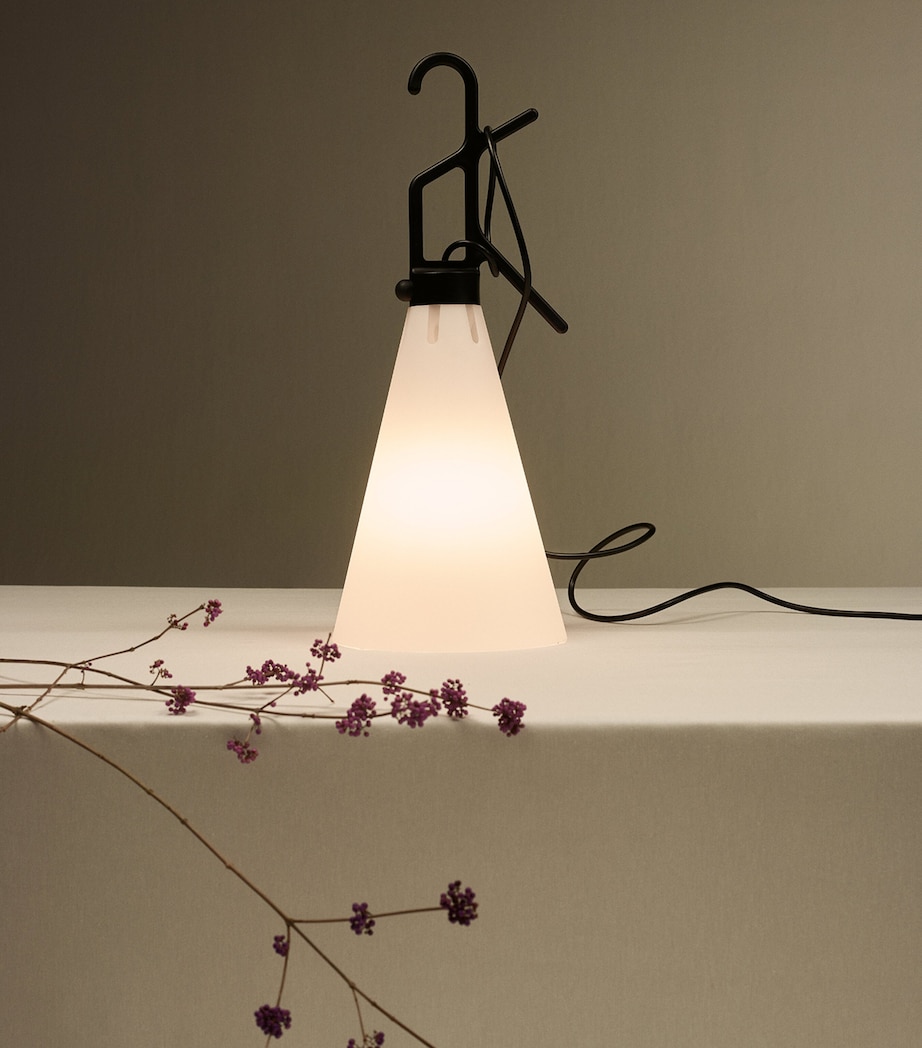 Flos Mayday Outdoor Lamp Image 2