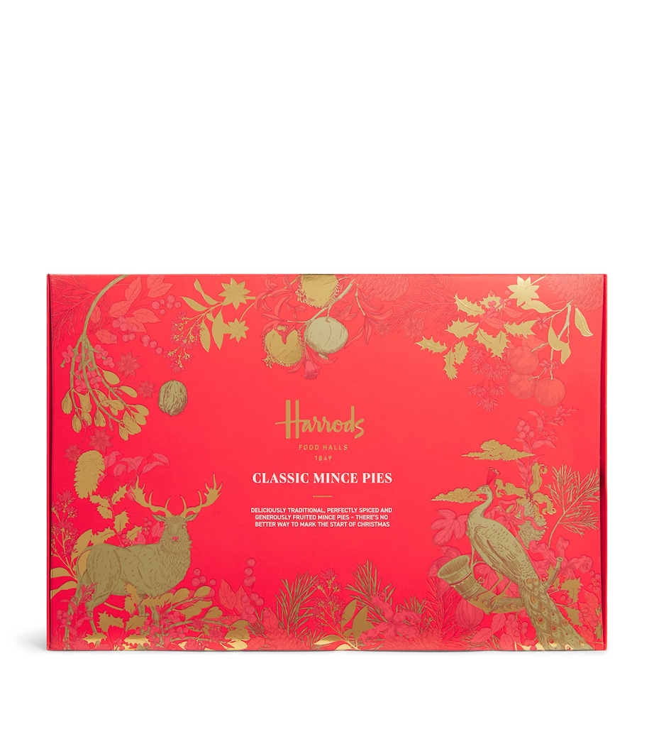 6 Classic Mince Pies (300g) NO COLOUR Image 1