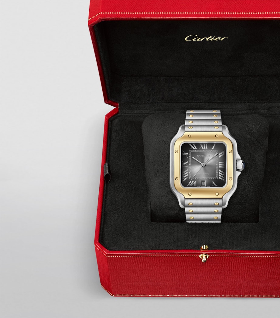 Yellow Gold and Stainless Steel Santos de Cartier Watch 39.8mm YELLOW GOLD Image 5
