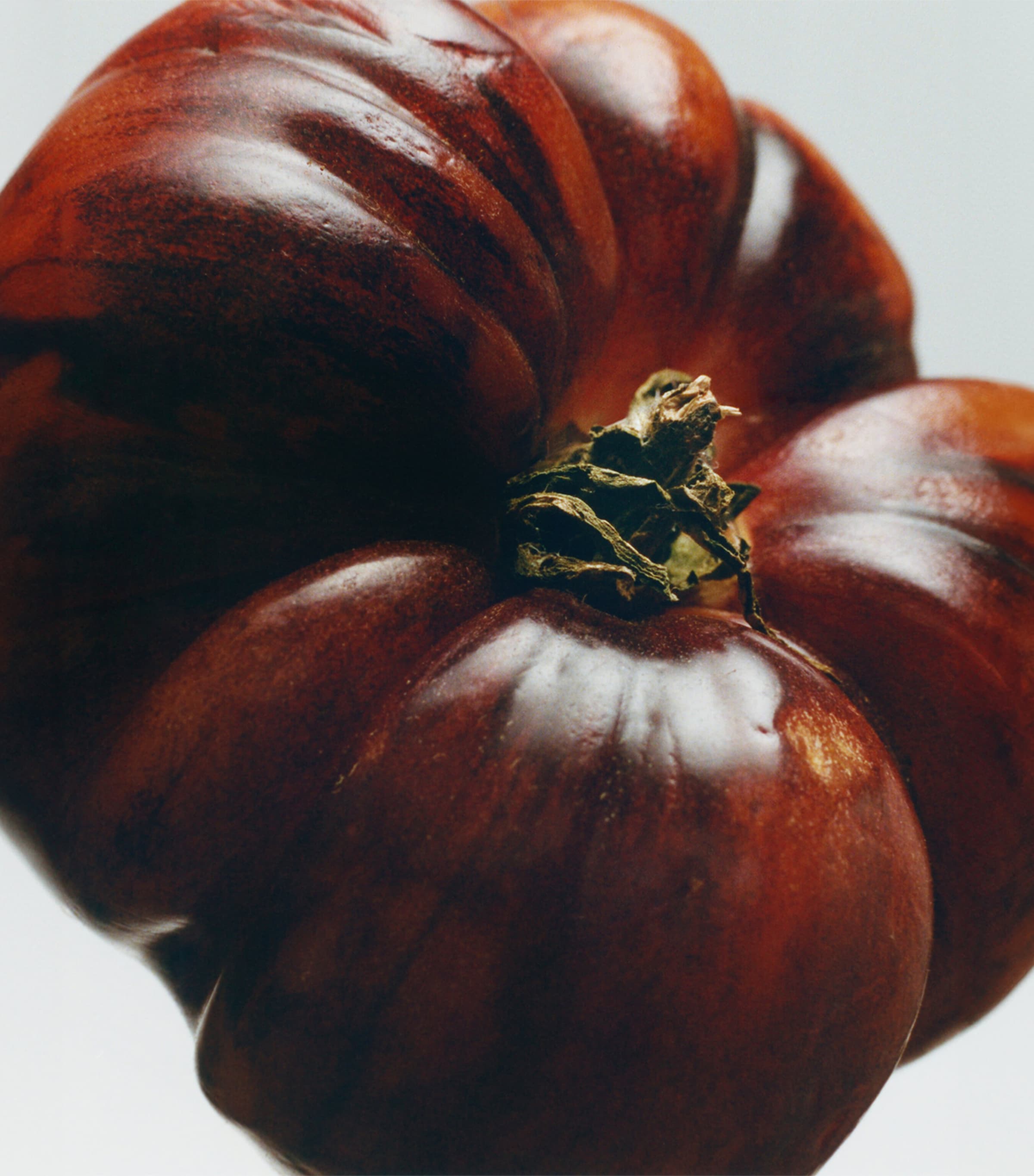 Large Tomato Leaves Scented Candle NO COLOUR Image 3