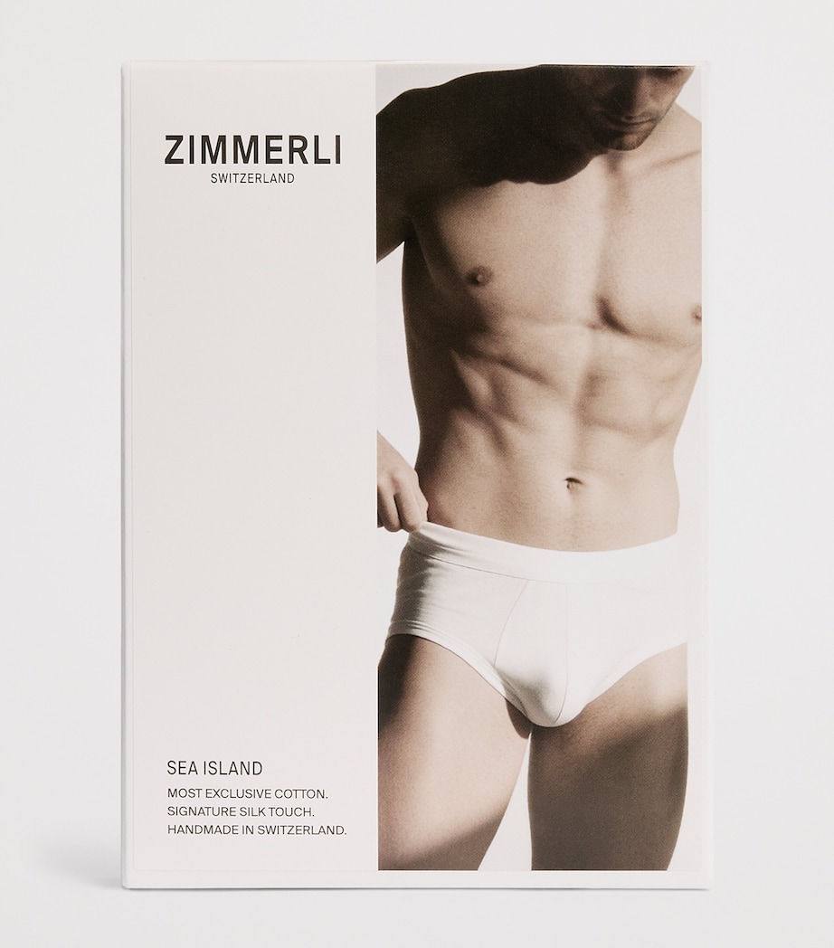 Zimmerli Mens Sea Island Cotton Briefs Mountain Blue Image 4
