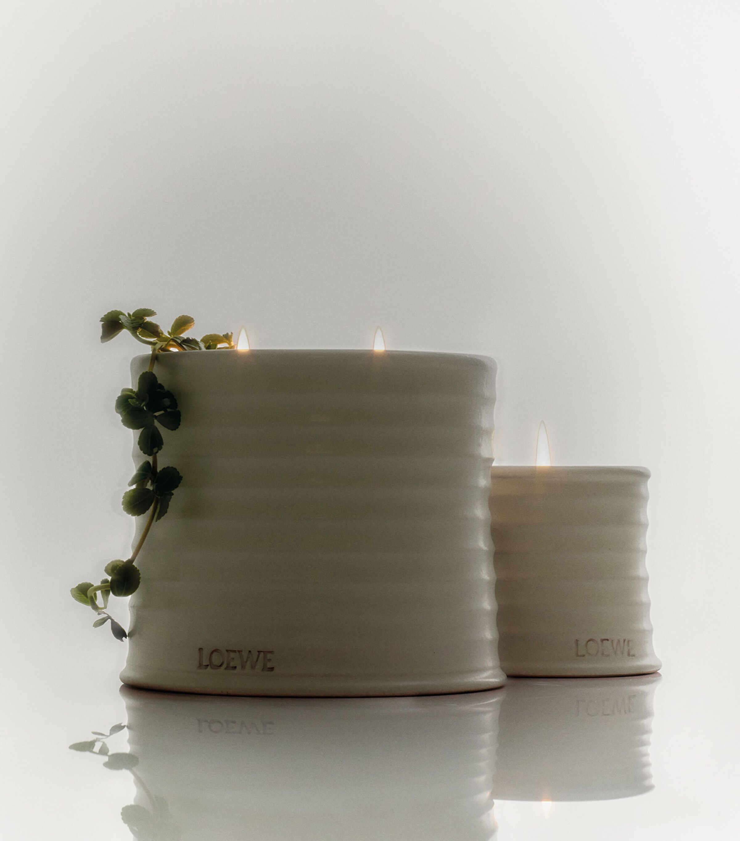 Medium Oregano Scented Candle NO COLOUR Image 5