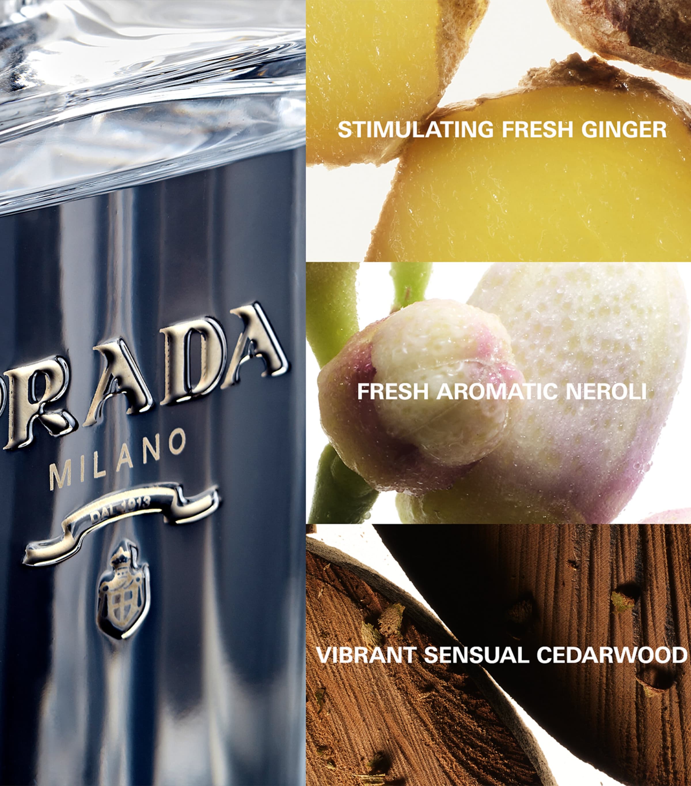 L'Homme Eau de Toilette (100ml) NO COLOUR Image 3