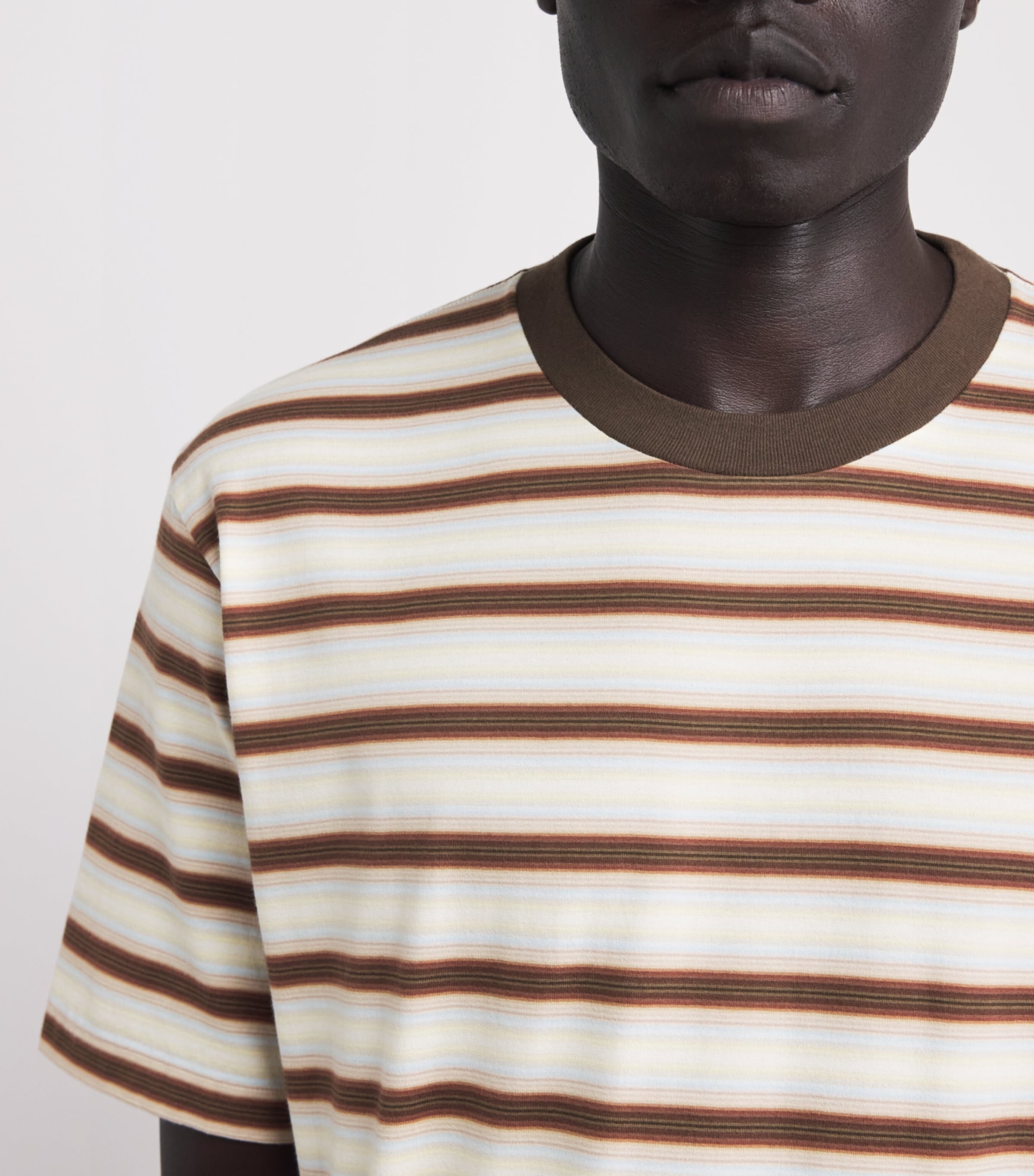 Auralee Mens Cotton Gradient Stripe T-Shirt Fade Brown Stripe Image 3