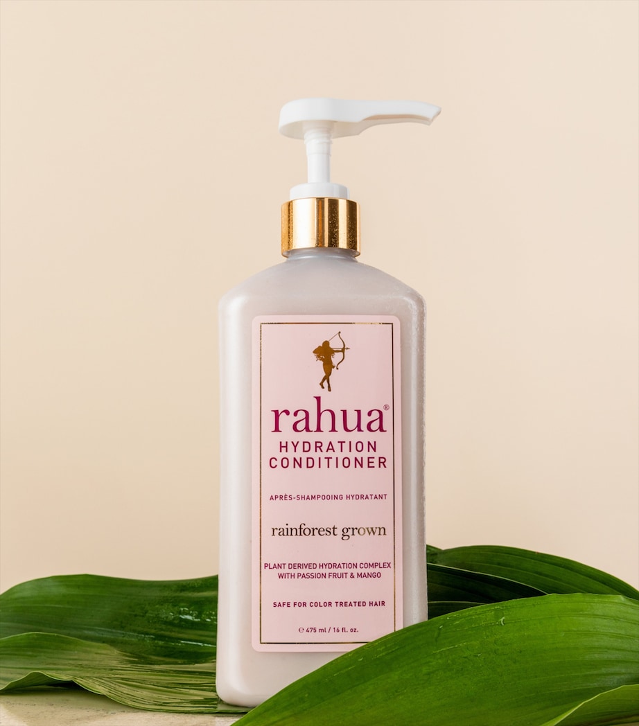 Hydration Conditioner (473ml) NO COLOUR Image 2