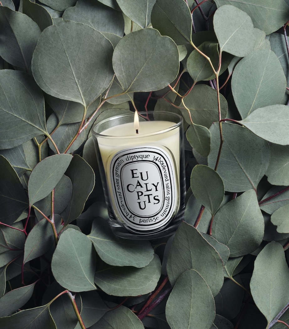 Diptyque Eucalyptus Candle (190g) Image 3