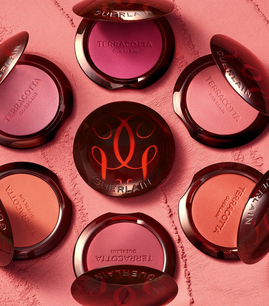 Guerlain Terracotta Blush Image 6