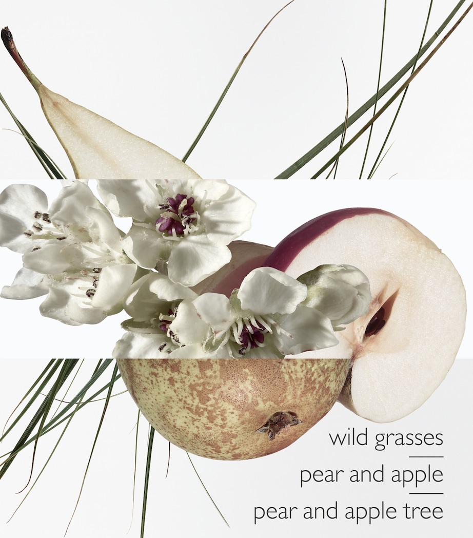 Un Jardin Sur Le Toit Eau de Toilette (100ml) NO COLOUR Image 6