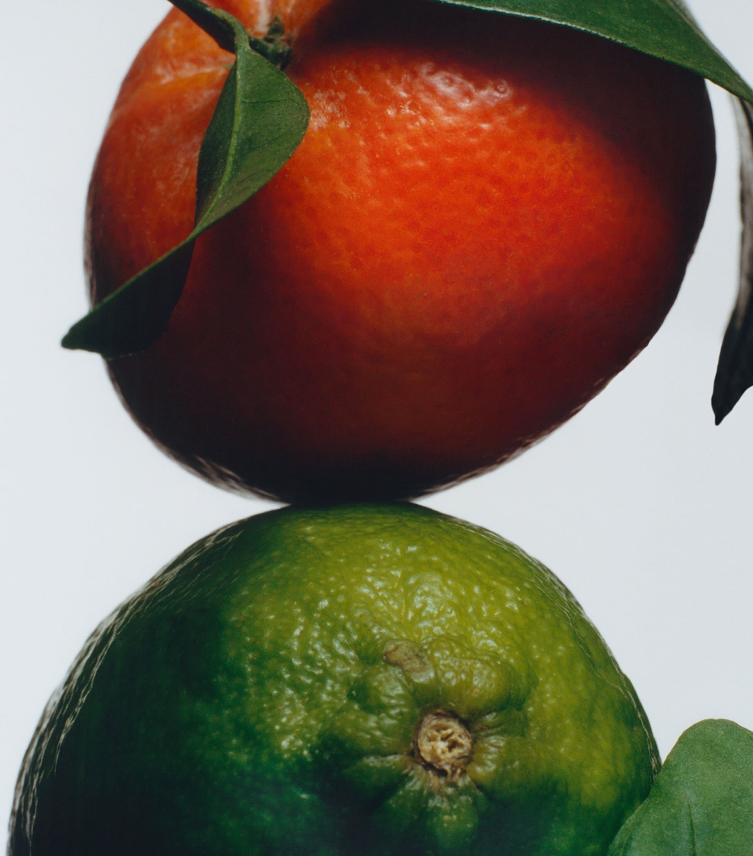 Lime Basil & Mandarin Cologne (9ml) NO COLOUR Image 3