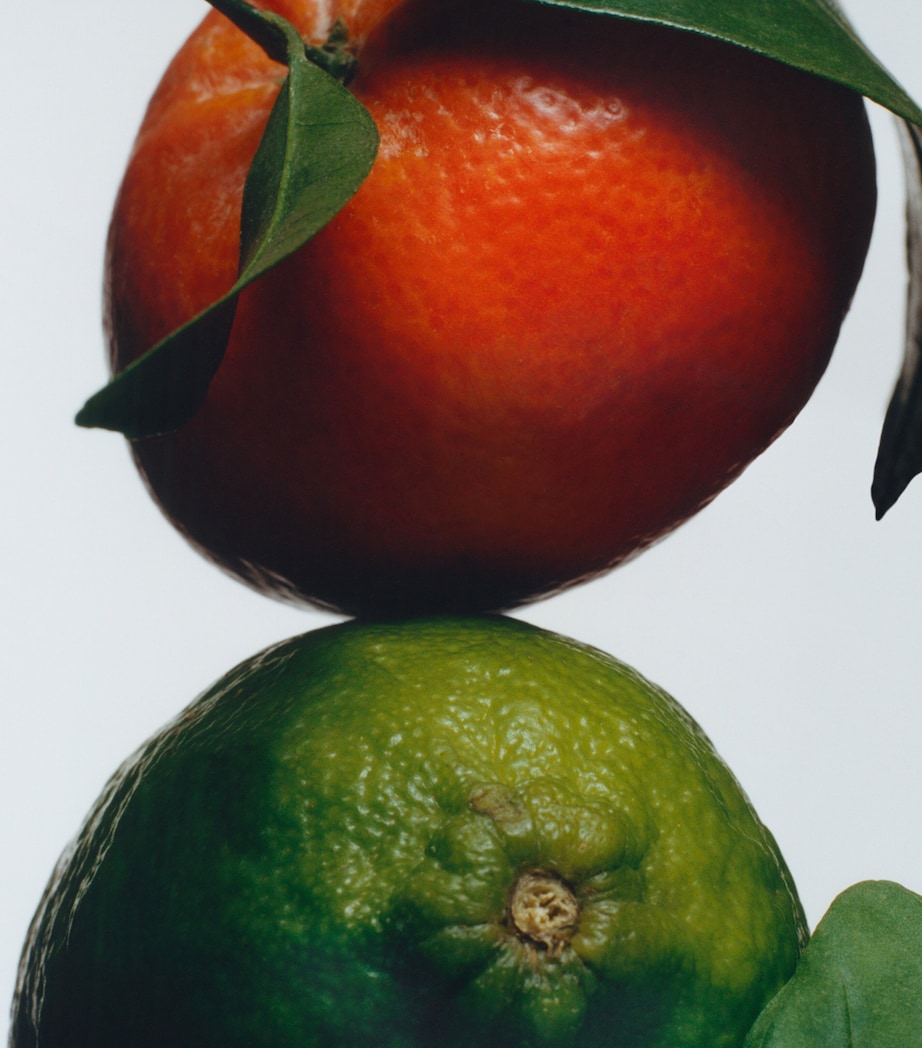 Lime Basil & Mandarin Cologne (9ml) NO COLOUR Image 3