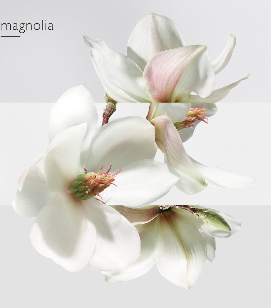 Un Jardin Sur La Lagune Eau de Toilette (100 ml) NO COLOUR Image 4