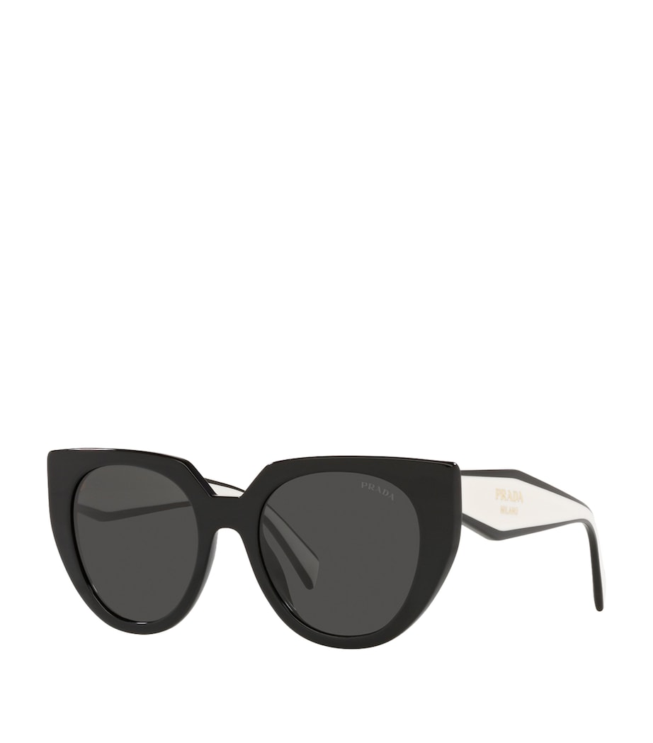 Cat-Eye Sunglasses 09Q5S0 Image 2