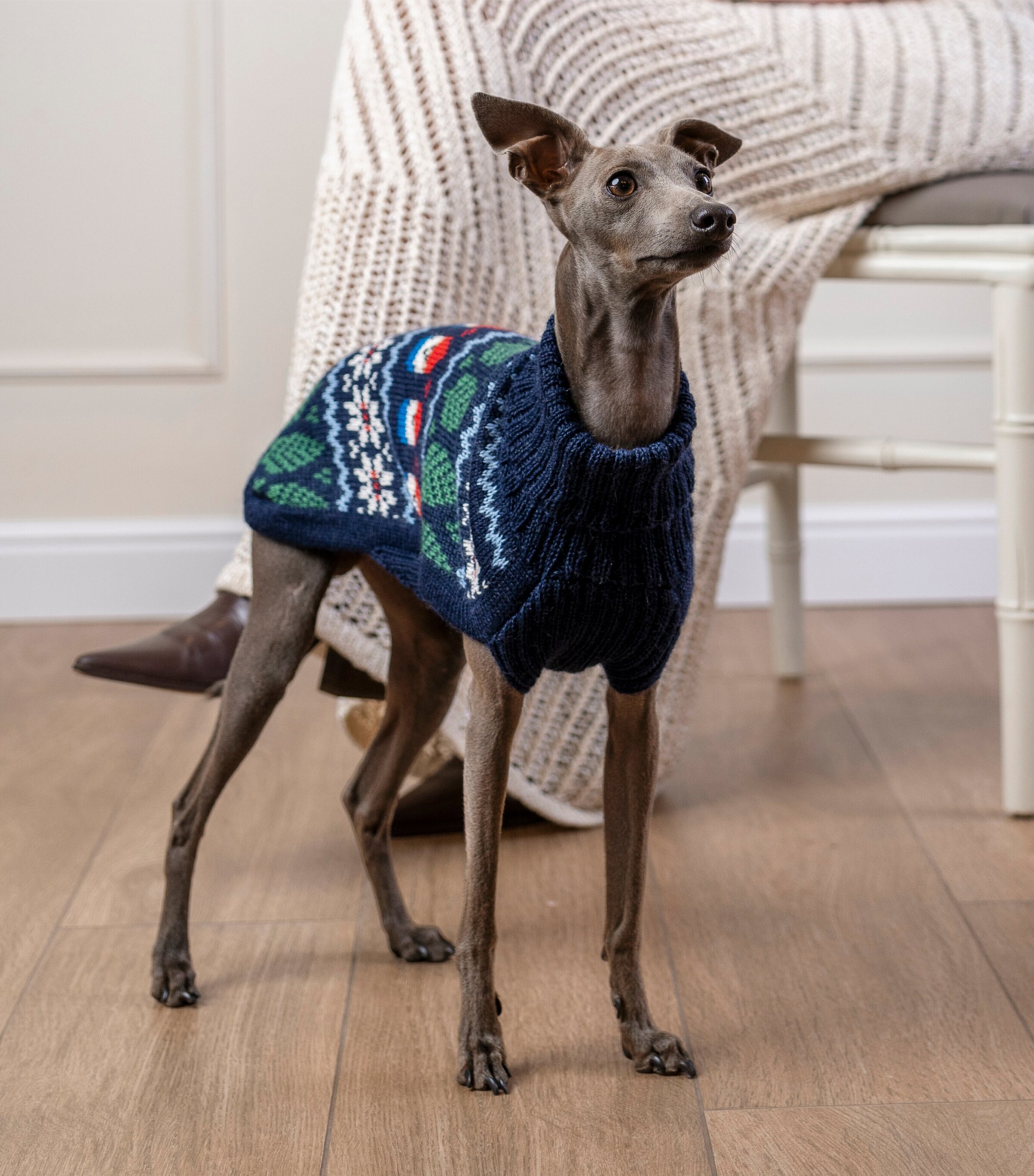 Alpaca-Blend Gnomes Dog Sweater BLUE Image 4