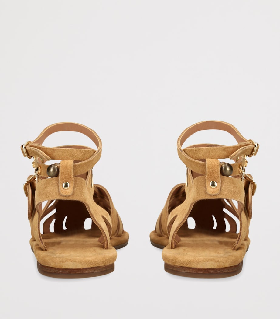 Ancient Greek Sandals Suede Karina Sandals Beige Image 2