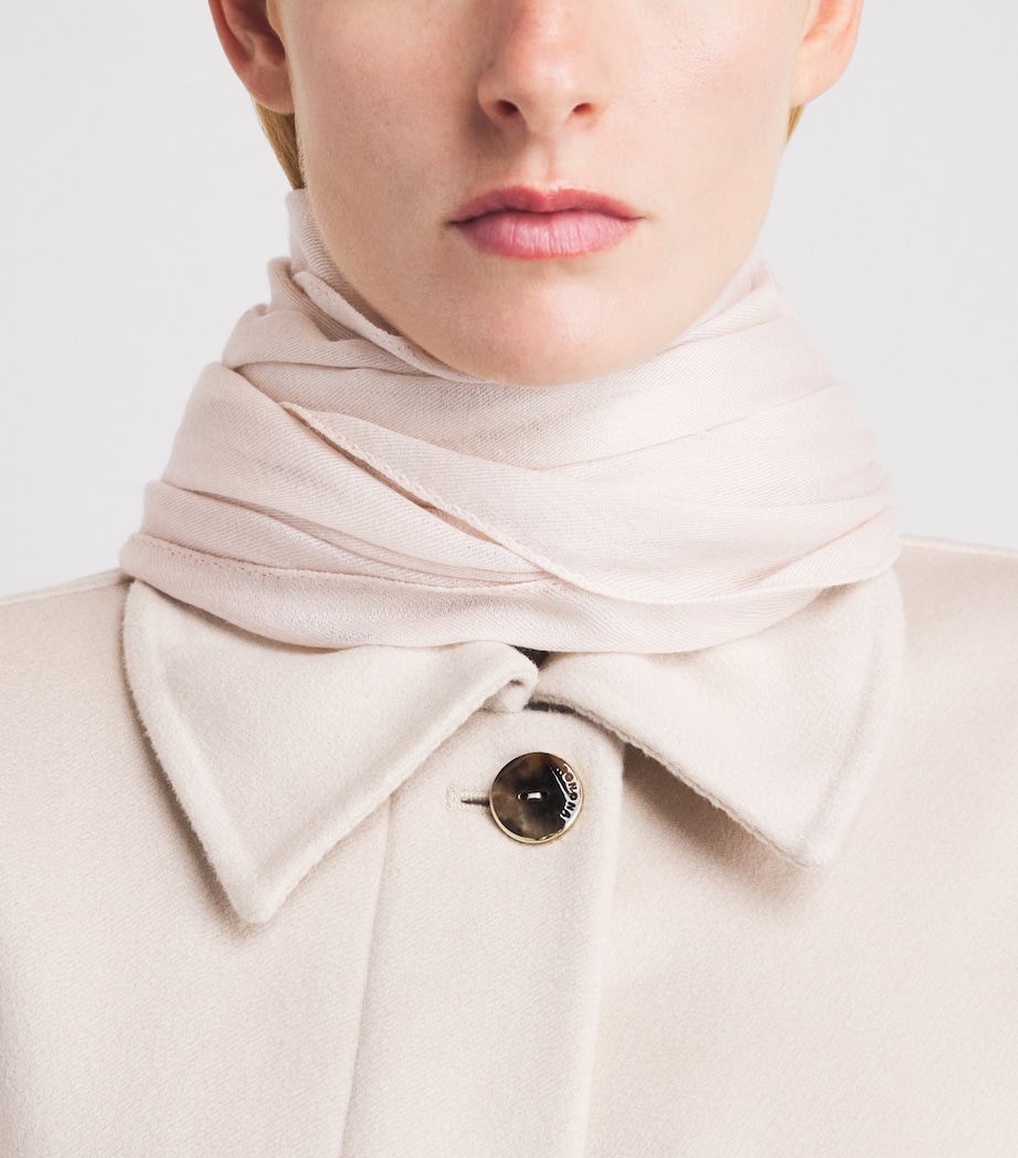 Agnona Cashmere Scarf Beige Greige Image 2