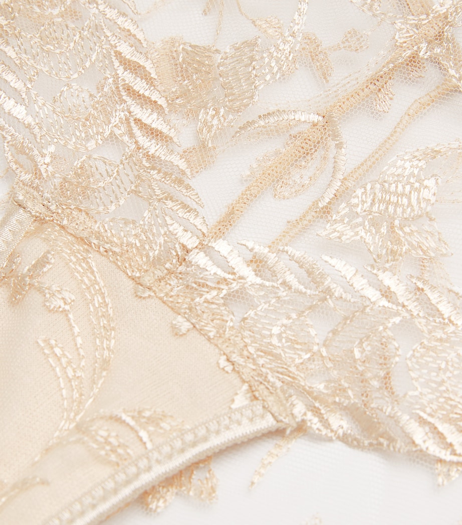 Magnetic Spell Hipster Briefs SAHARA Image 4