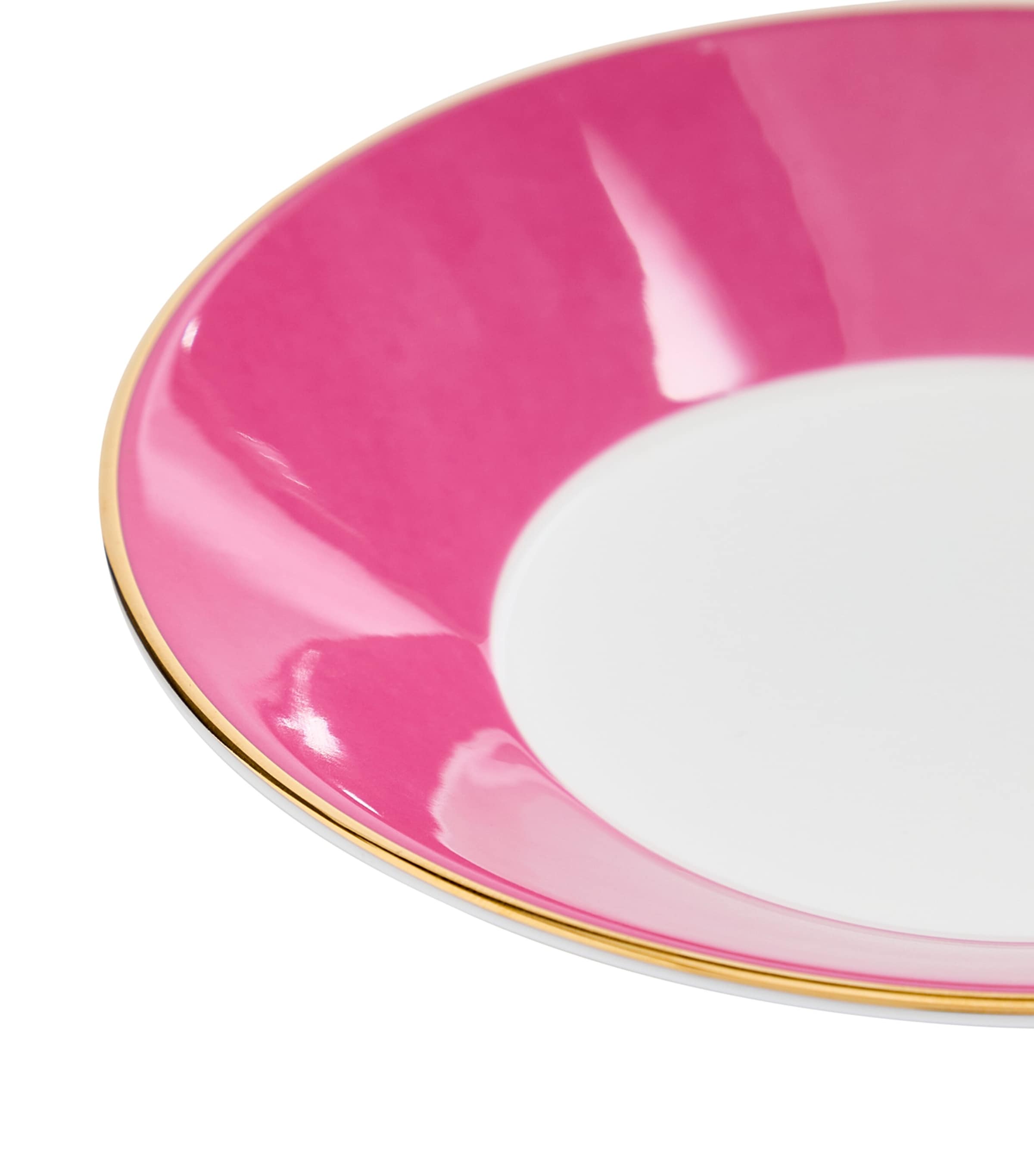 Wonderlust Pink Tonquin Teacup and Saucer PINK Image 6