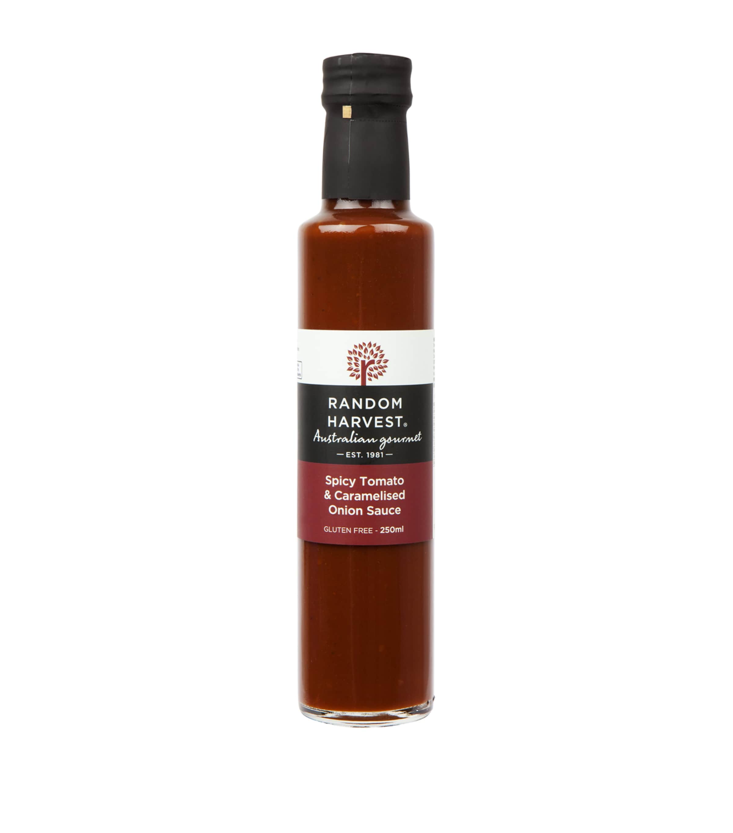 Spicy Tomato & Caramelised Onion Sauce (250ml) NO COLOUR Image 1