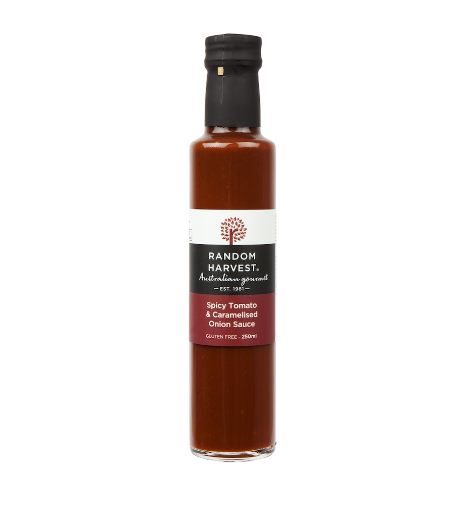 Spicy Tomato & Caramelised Onion Sauce (250ml) NO COLOUR Image 1