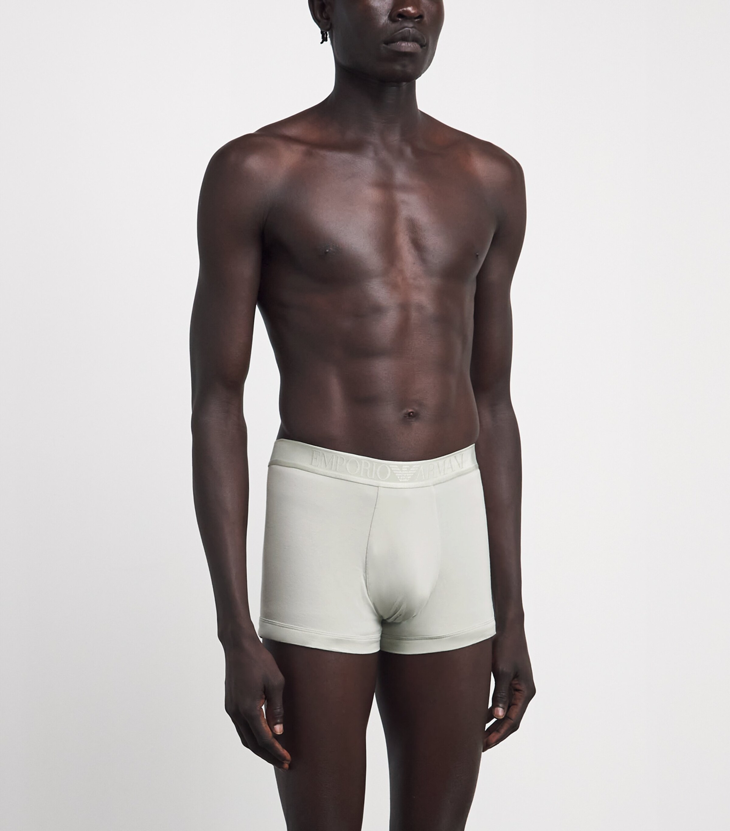 Emporio Armani Mens Modal Logo Trunks Mineral Image 2