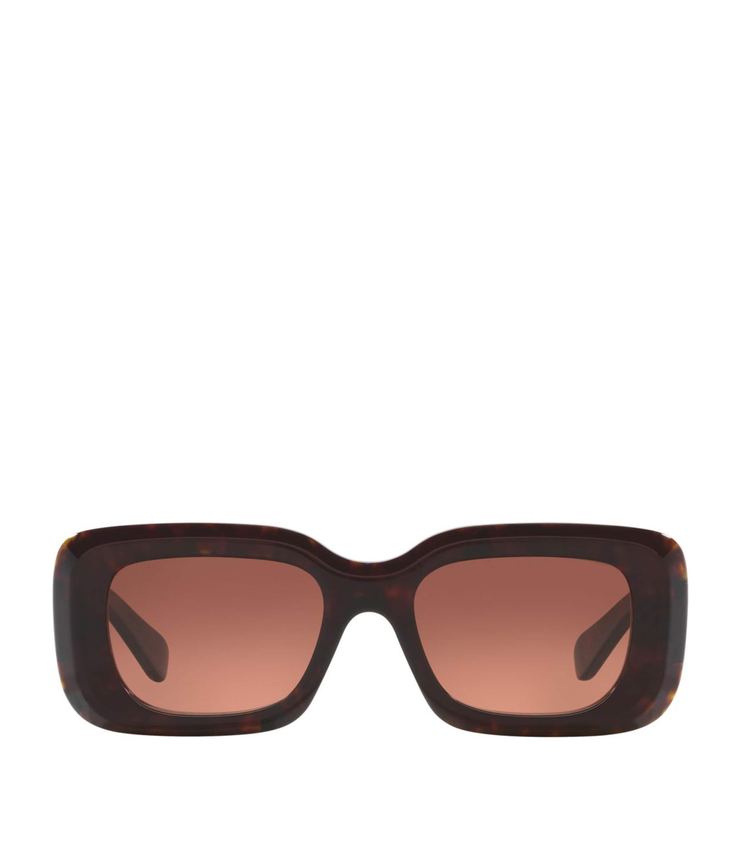 Chloé Acetate 06n000505 Sunglasses In Brown