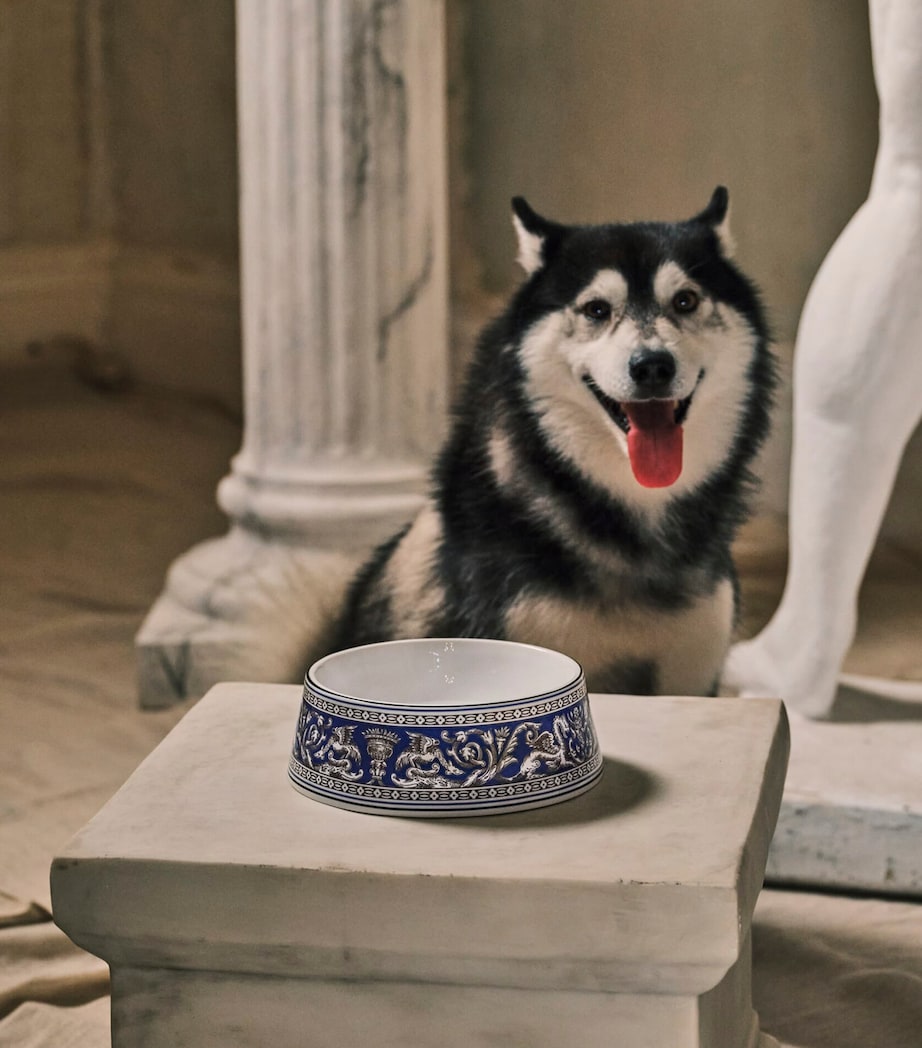 Bone China Florentine Pet Bowl (21cm) BLUE Image 2