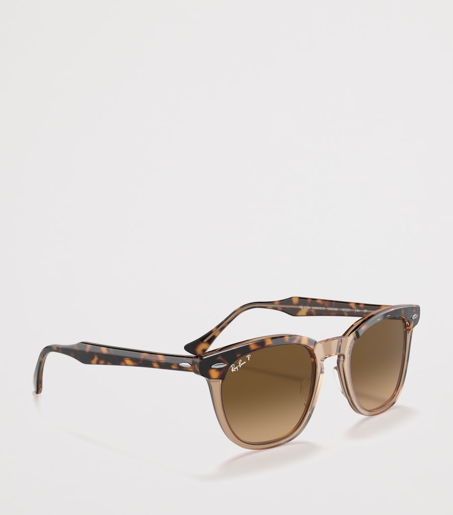 Ray-Ban Hawkeye Sunglasses Image 6